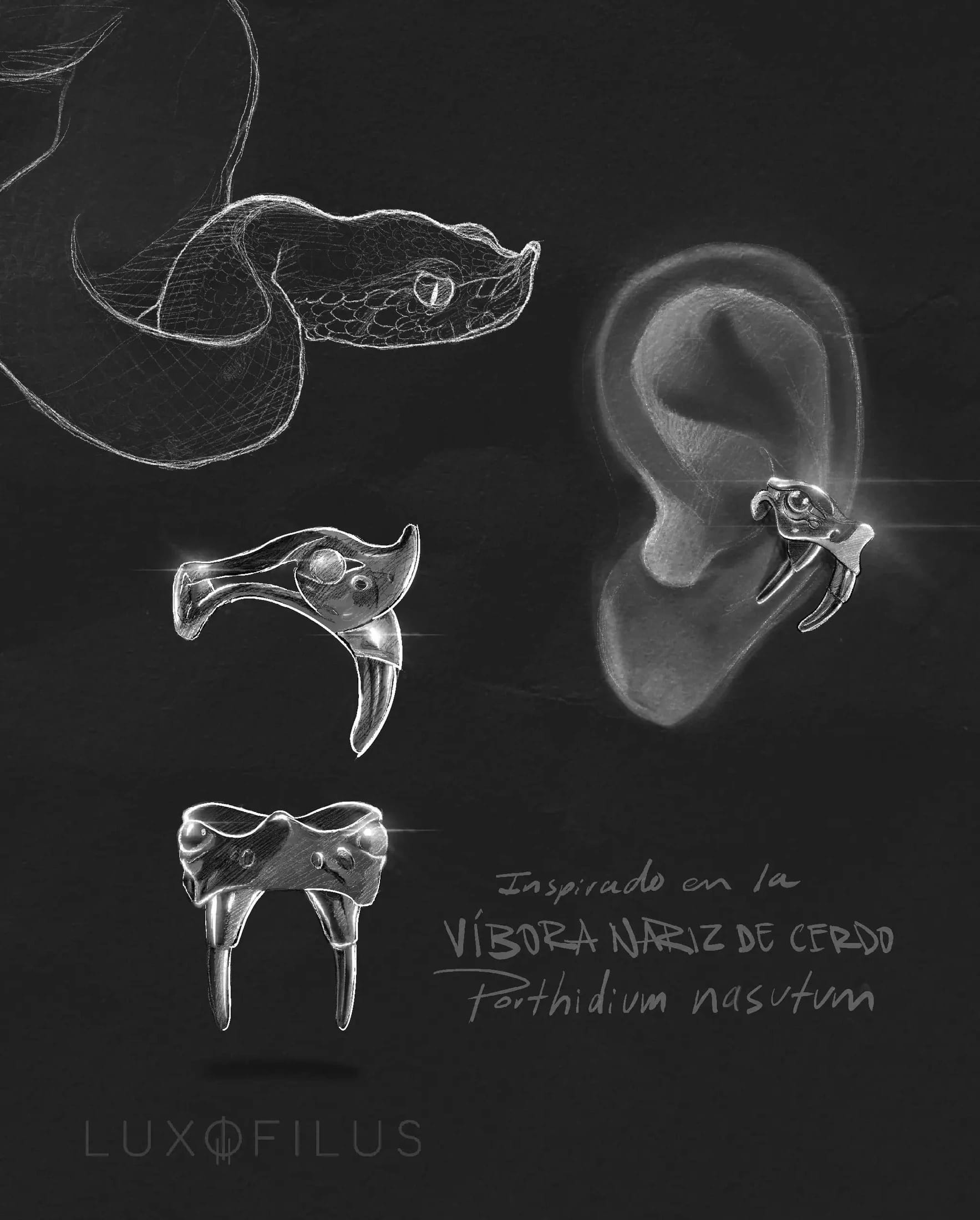 Earcuff Víbora Nariz de Cerdo - imagen 7