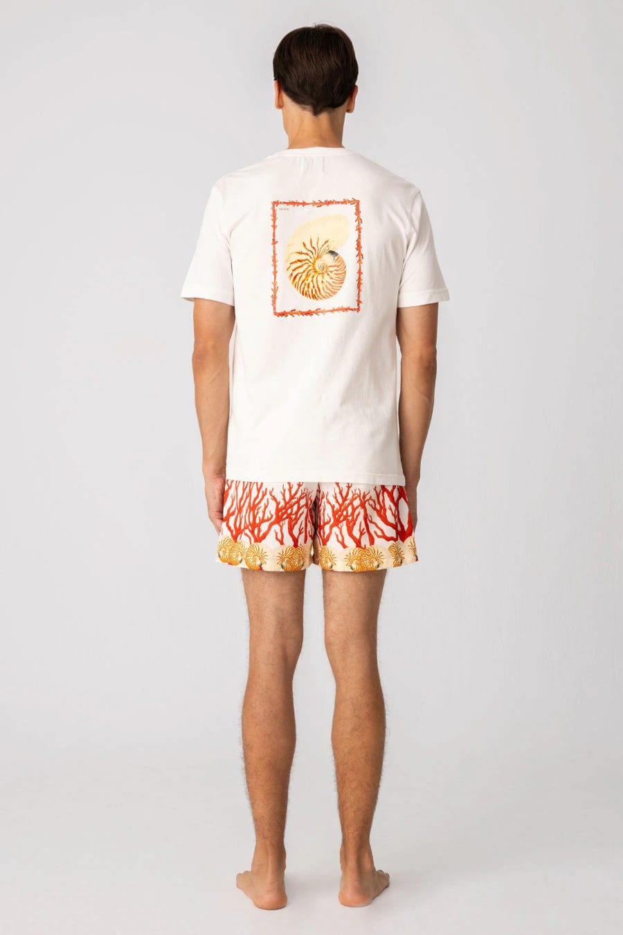 Men's cotton t-shirt white aronnax - imagen 2