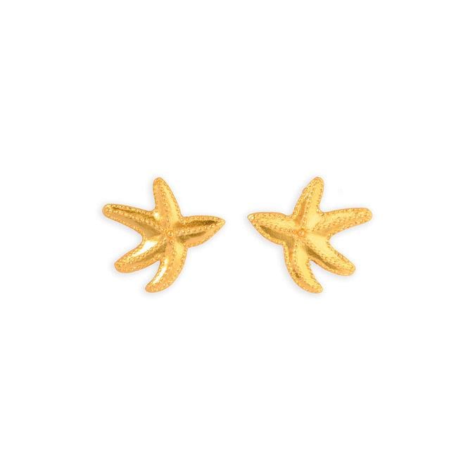 Topo Estrella De Mar - imagen 1