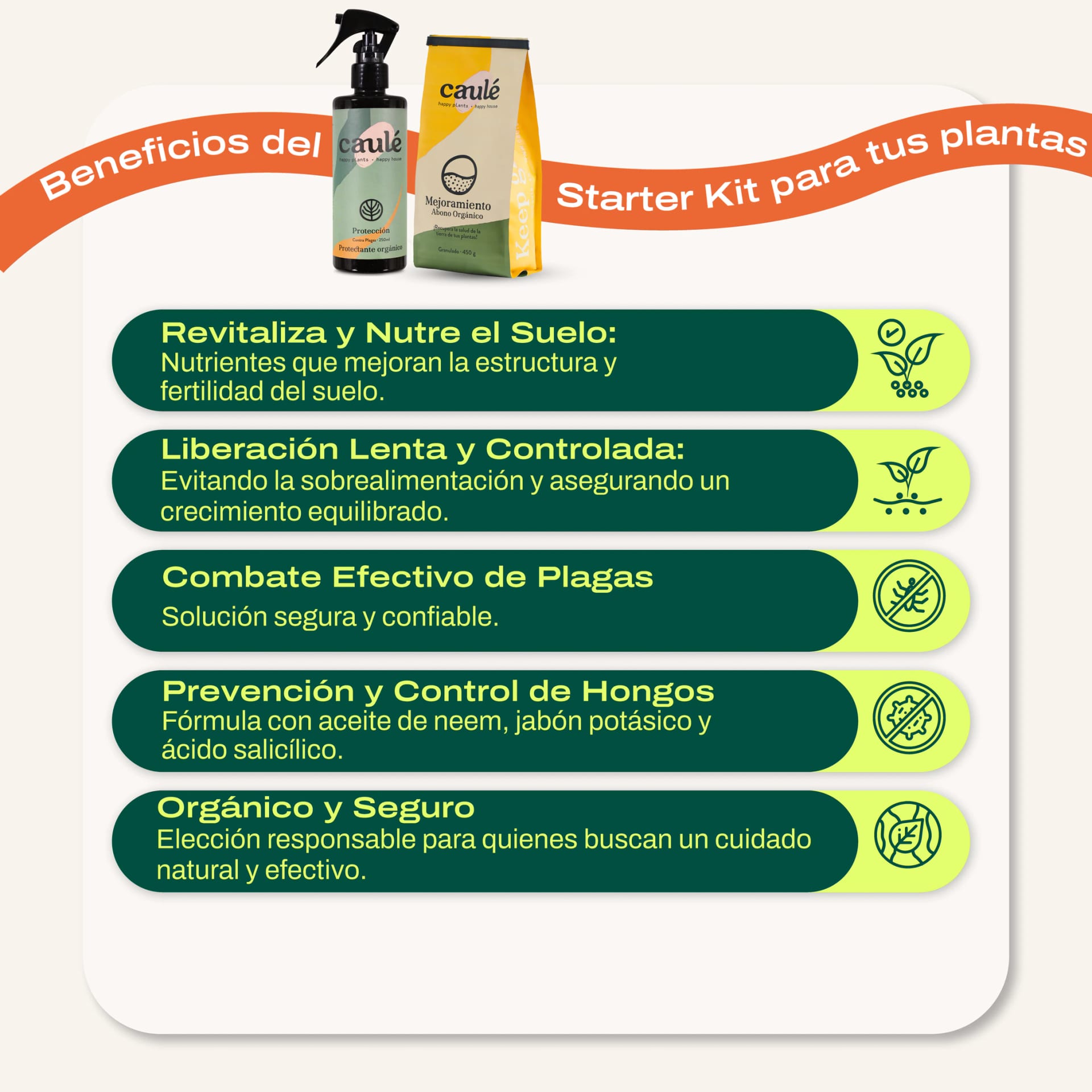 Starter Kit - imagen 2