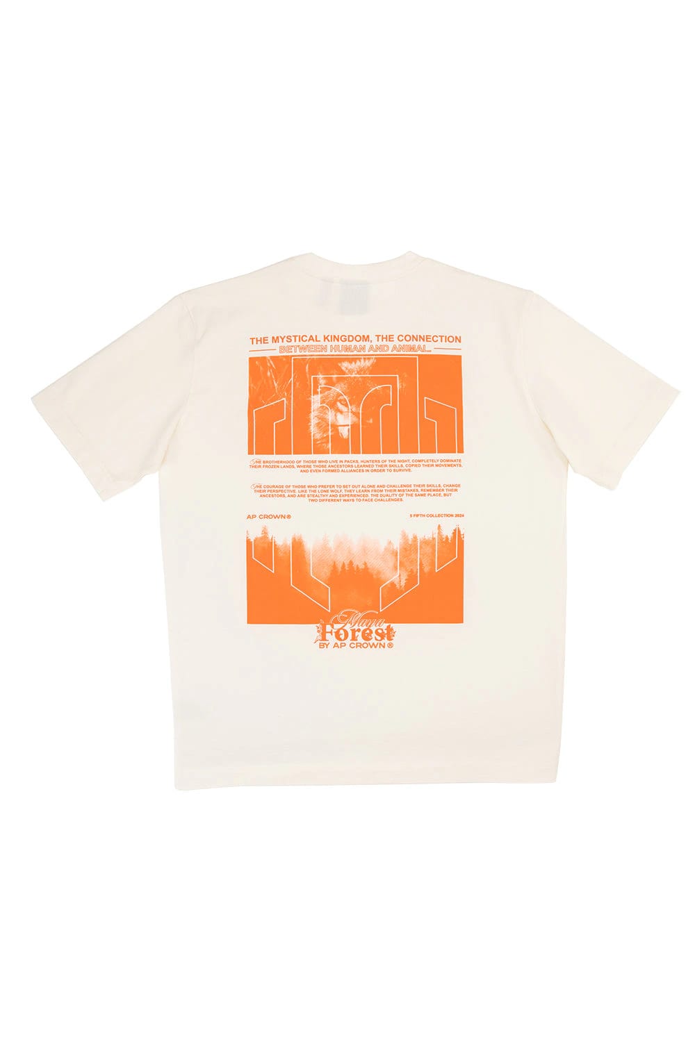 VEILED T-SHIRT - imagen 4