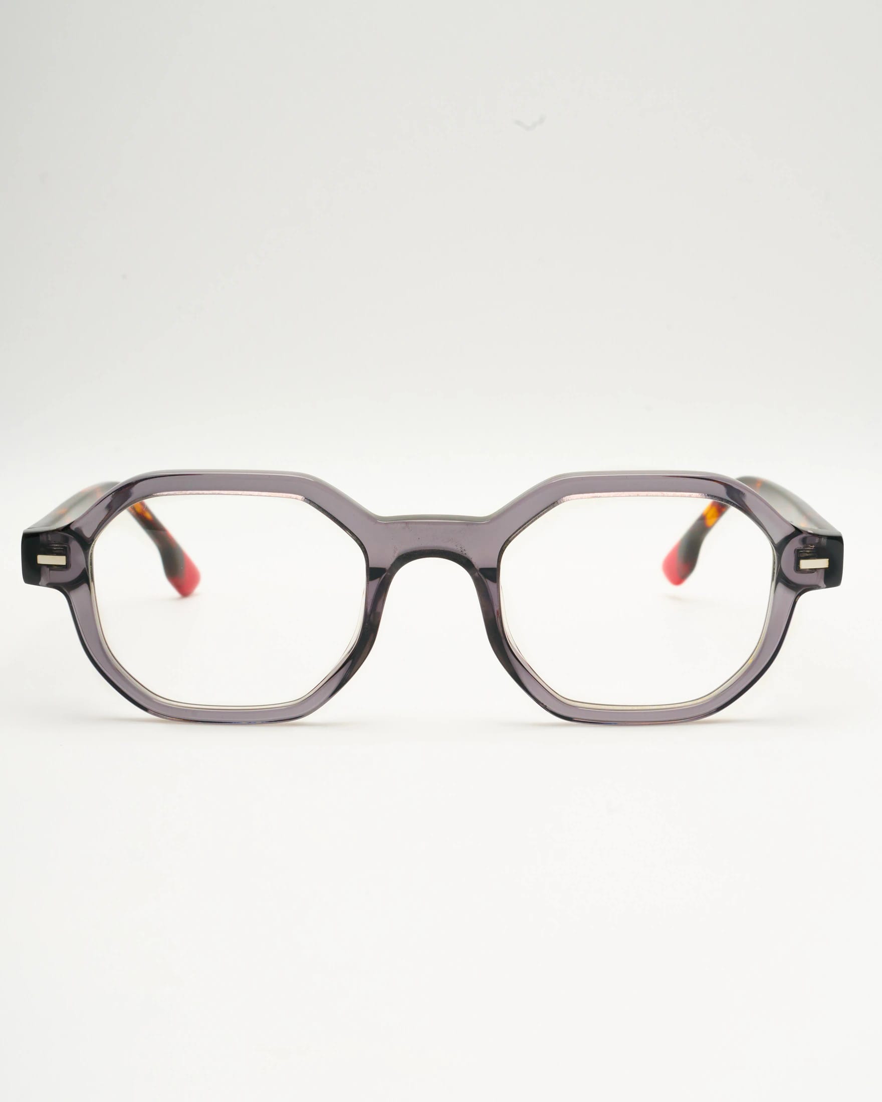 NICCOLO - TORTOISE GRAY - imagen 6