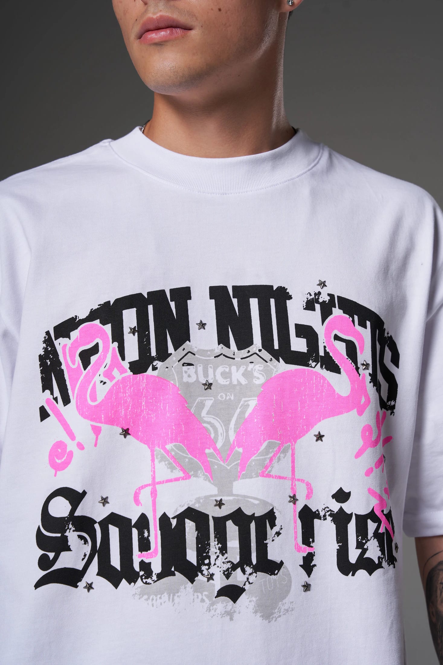 T shirt flamenco rosa 250 gramos 14602 - imagen 2