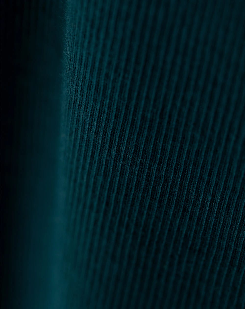 Camiseta esqueleto slim rib algodón verde mujer - imagen 6