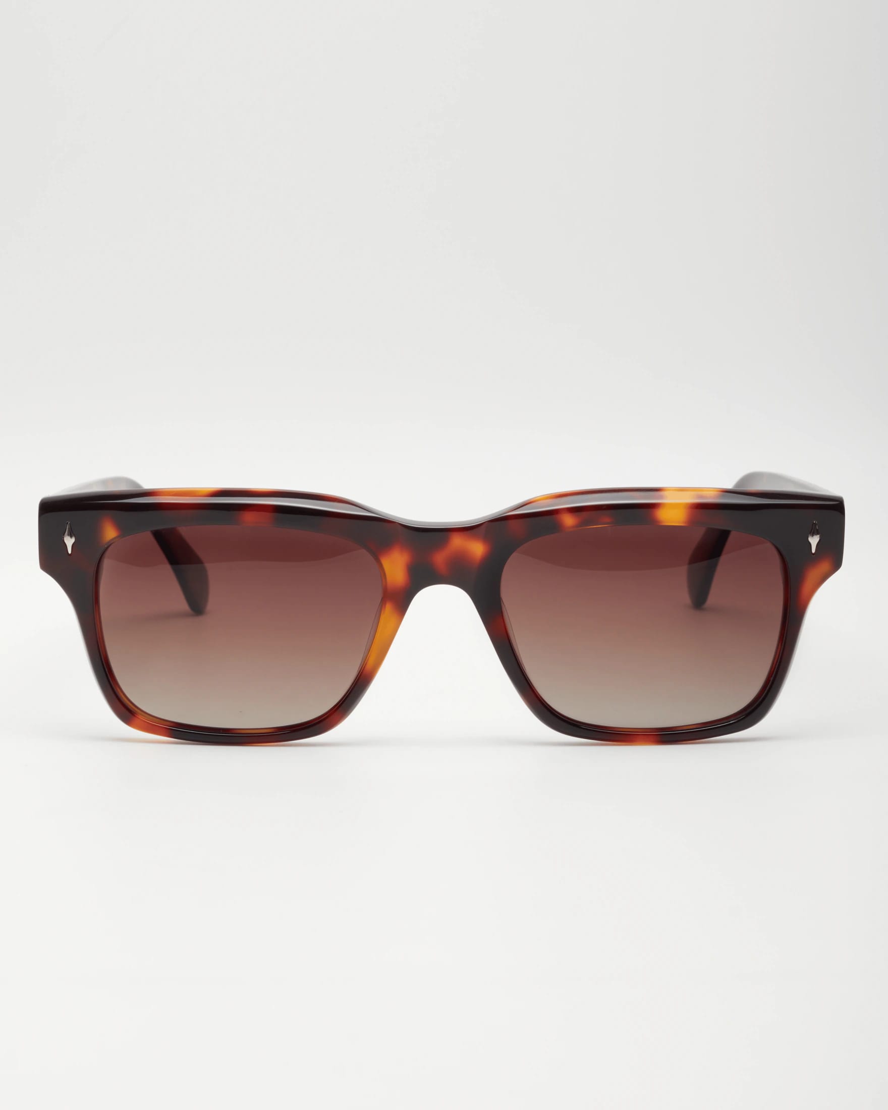 FRANCESSCO - TORTOISE / CHOCOLATE - imagen 7