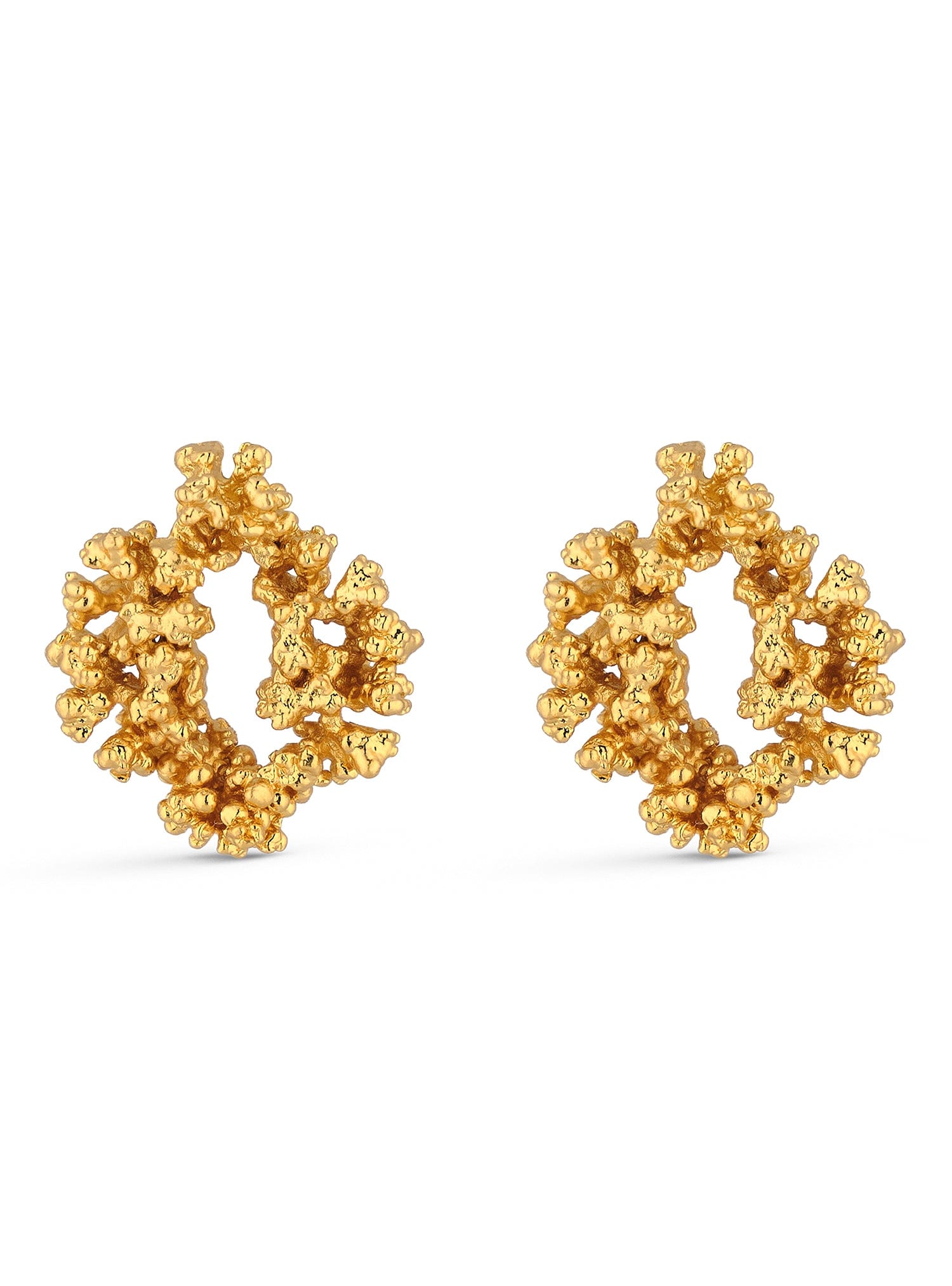 Halo Earrings - imagen 1