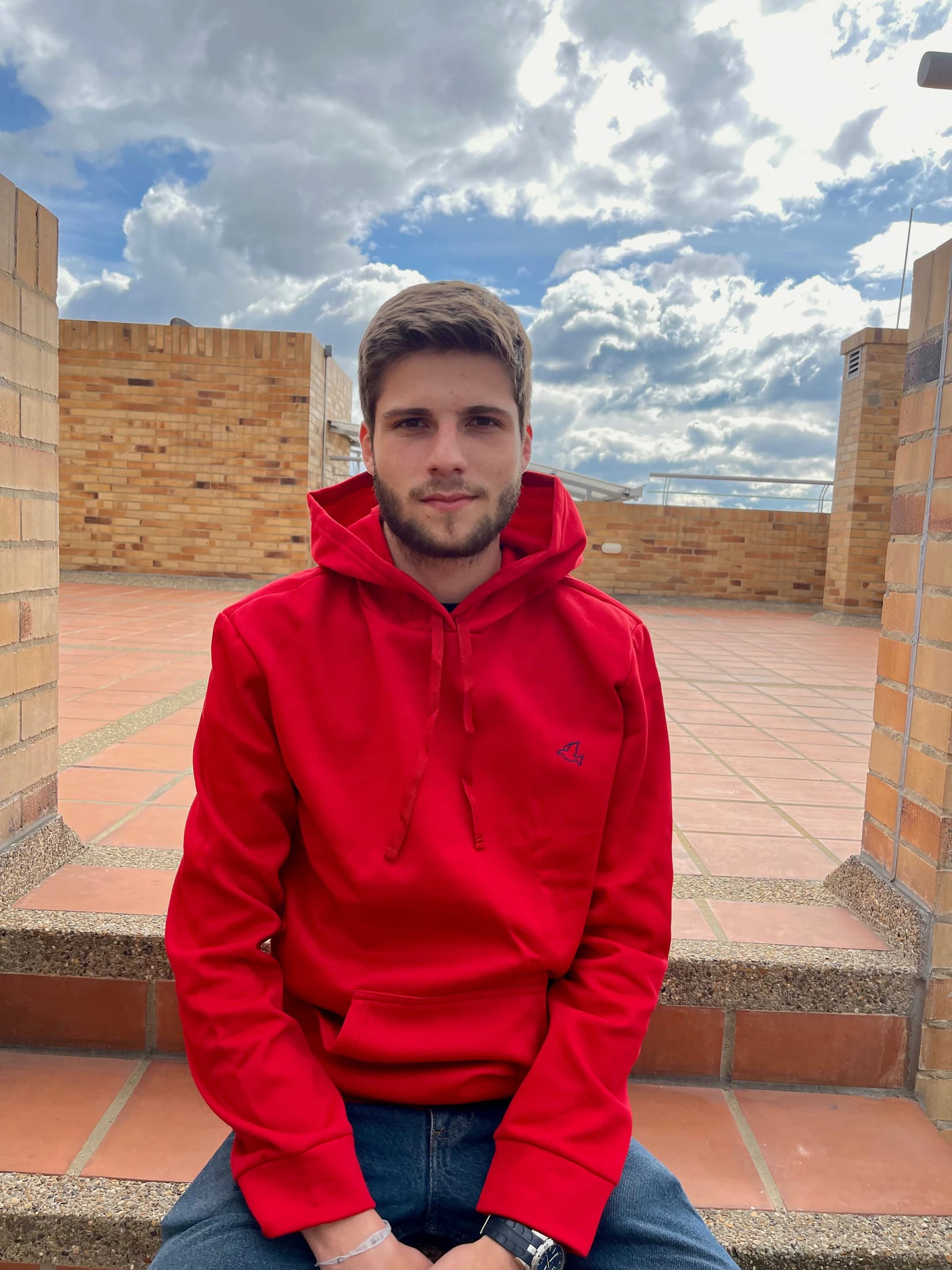 Hoodies Pomba para todos - imagen 5