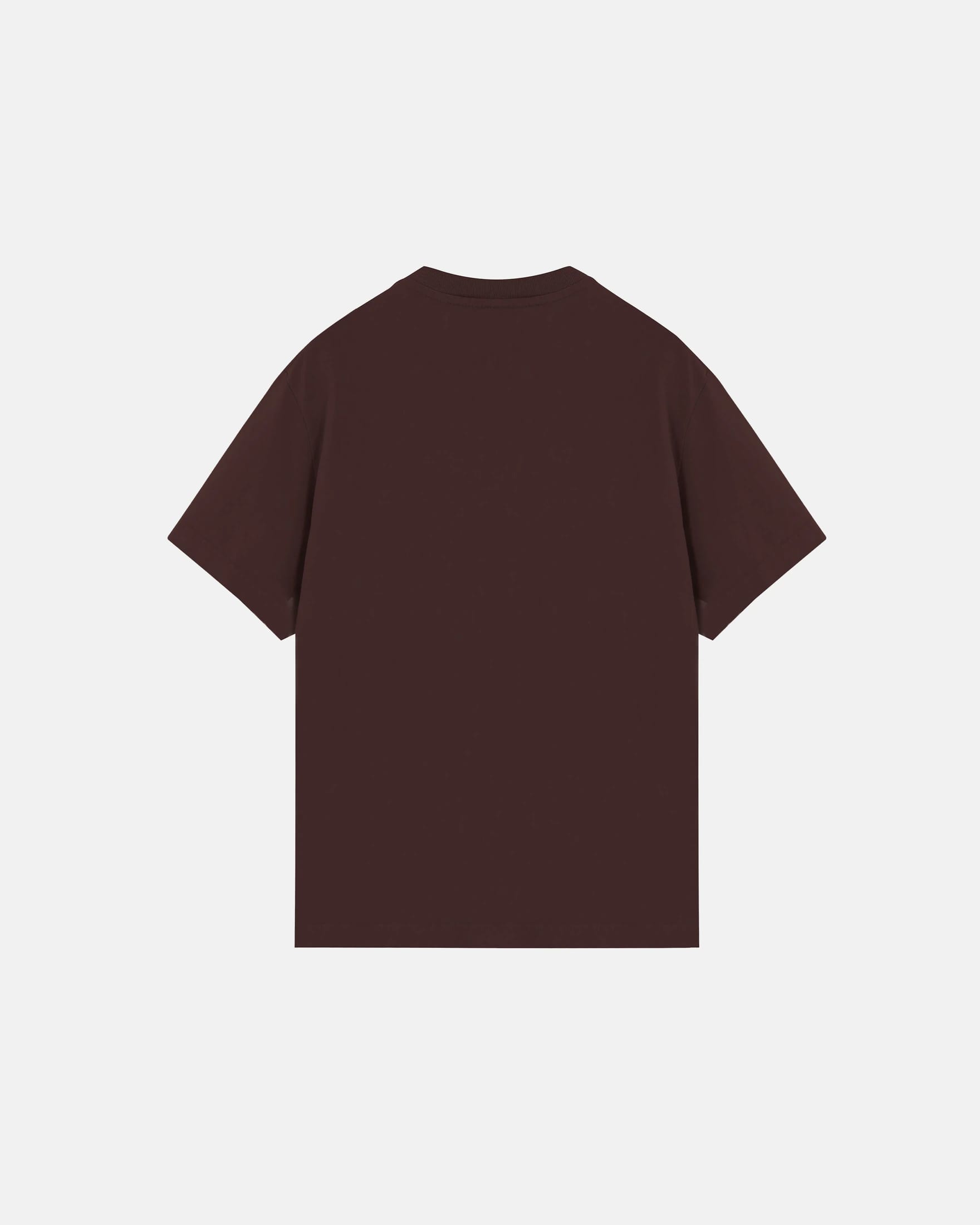 Basics Tiny Logo Regular Fit Tshirt Brown - imagen 3
