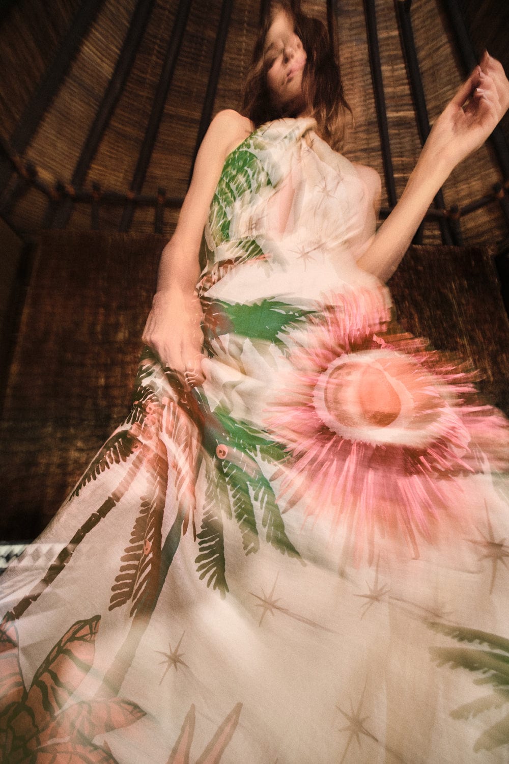 Western Elements Dress - imagen 4