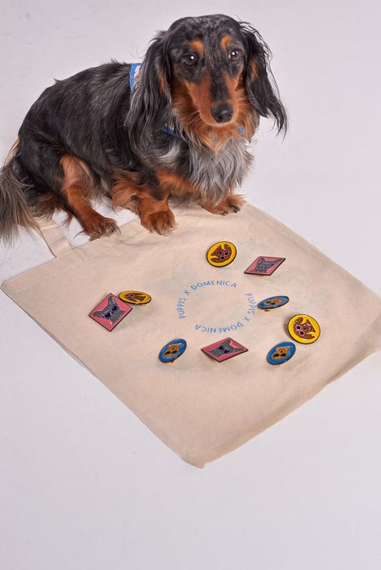 PINES PERROS - imagen 1