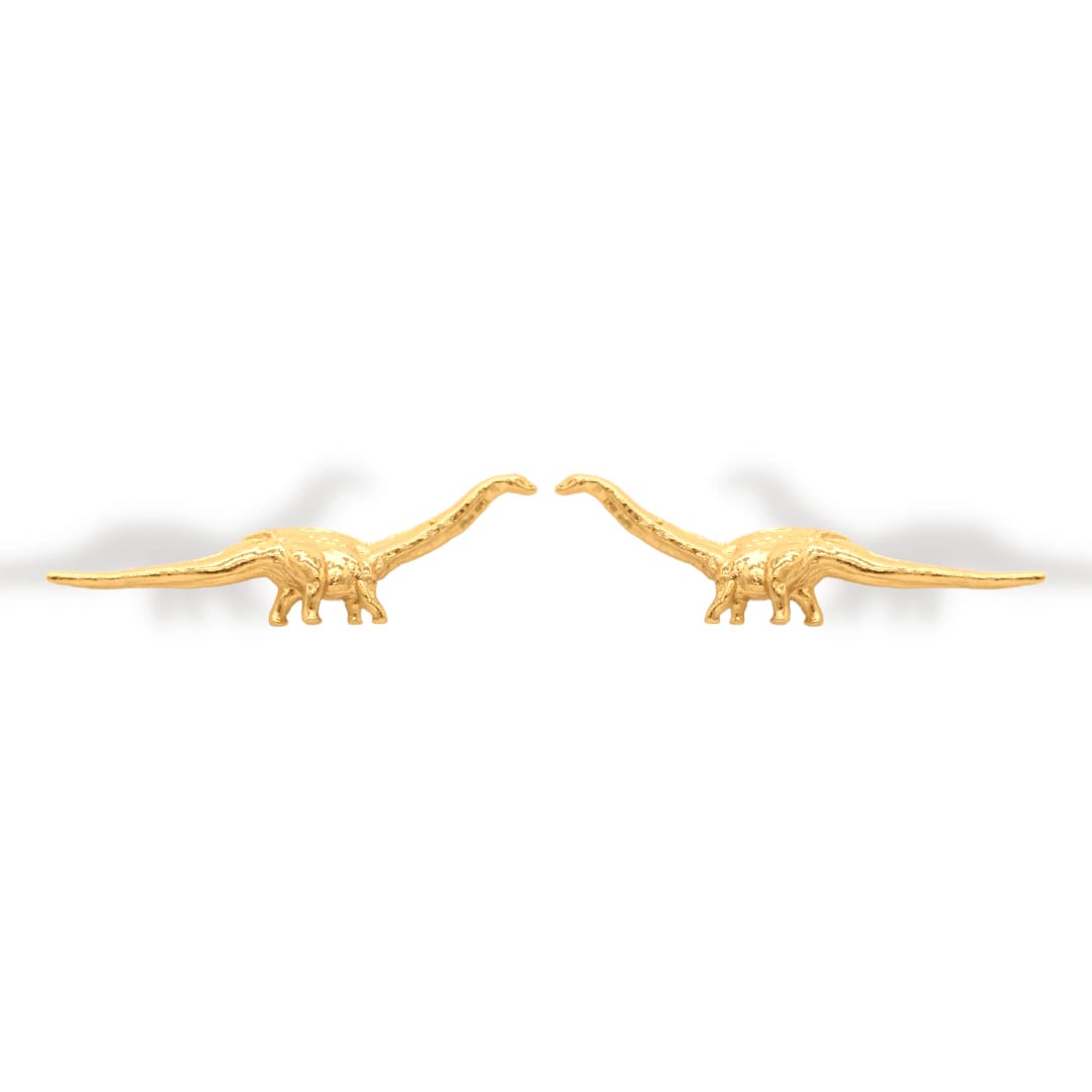 Aretes de titanosaurio - imagen 1