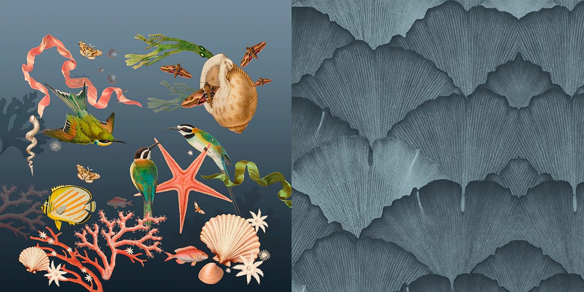 Cojin - Coralina - imagen 6