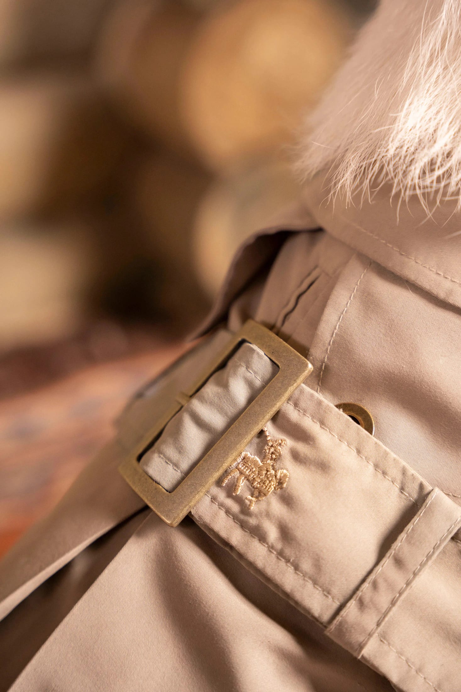 Trench Perro Beige Oscuro - imagen 5