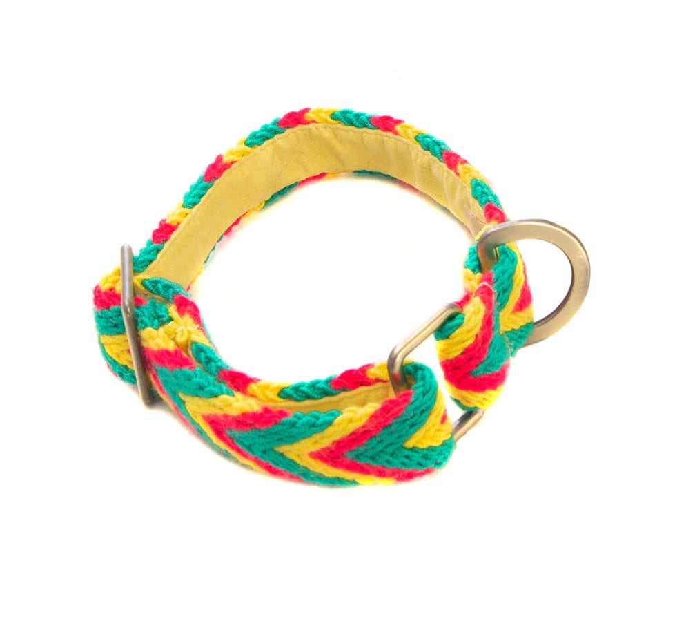 Amarillo Collar - imagen 3