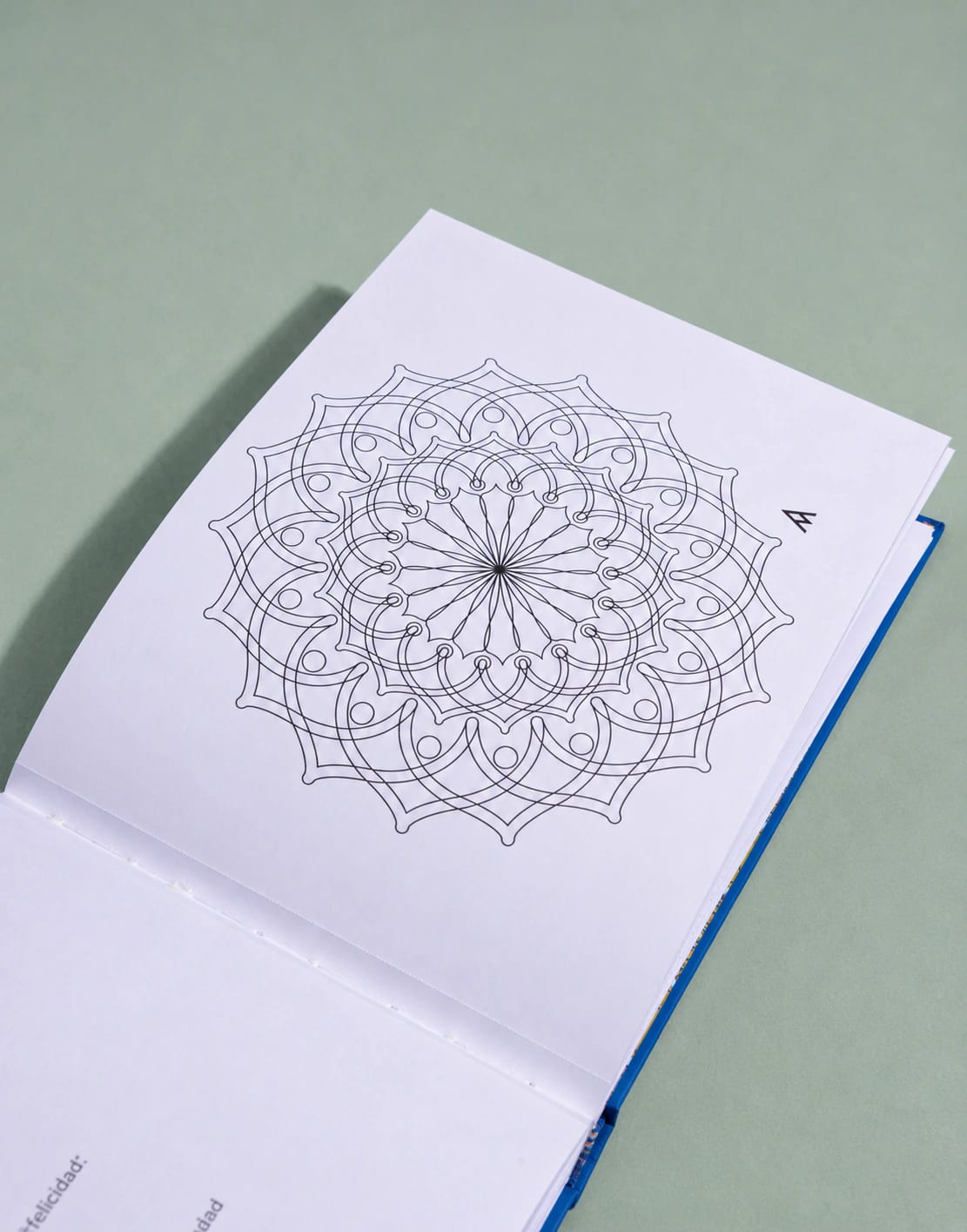 LIBRO MANDALAS PARA EL ALMA 3 - imagen 3