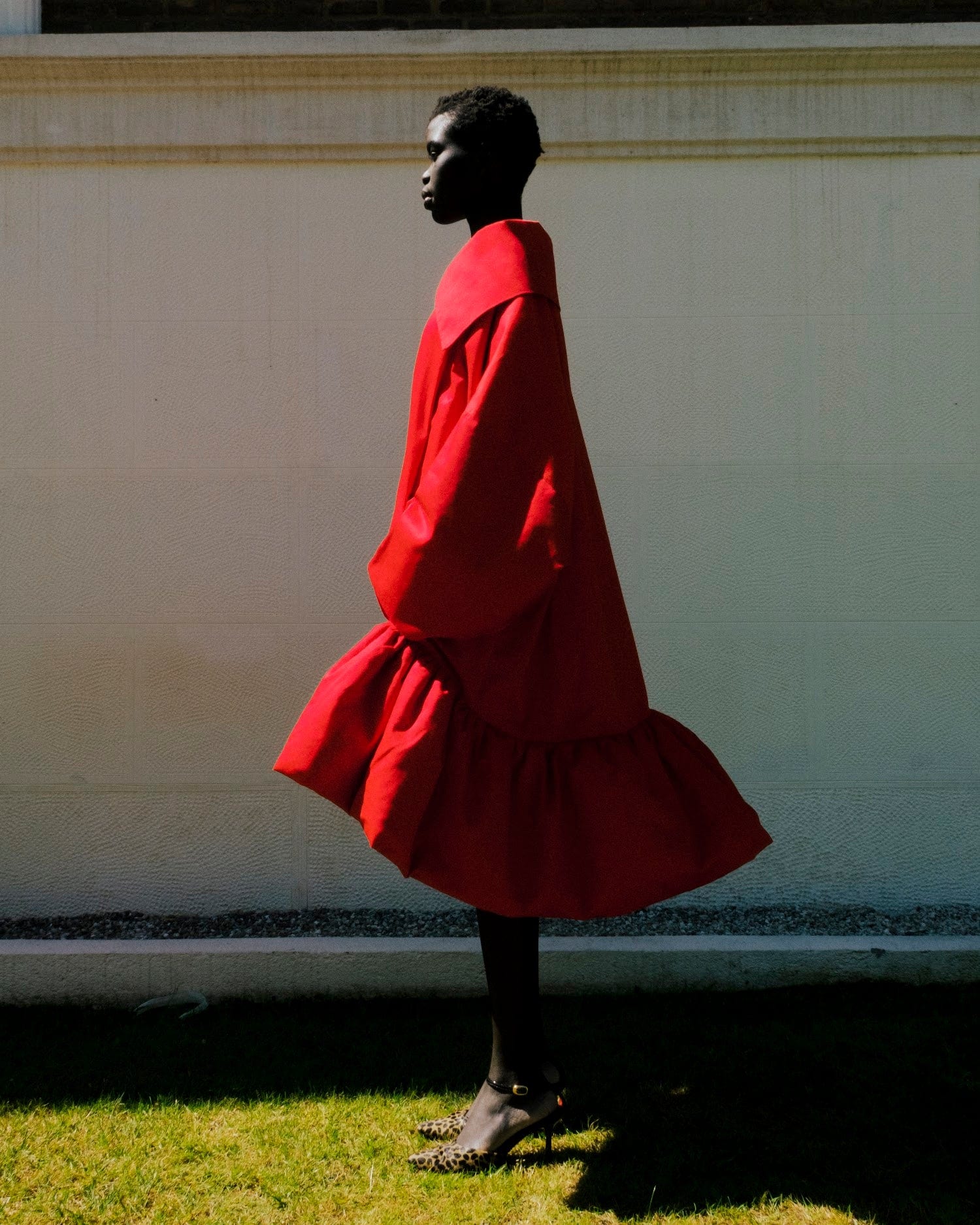SAGO ROJO - imagen 1