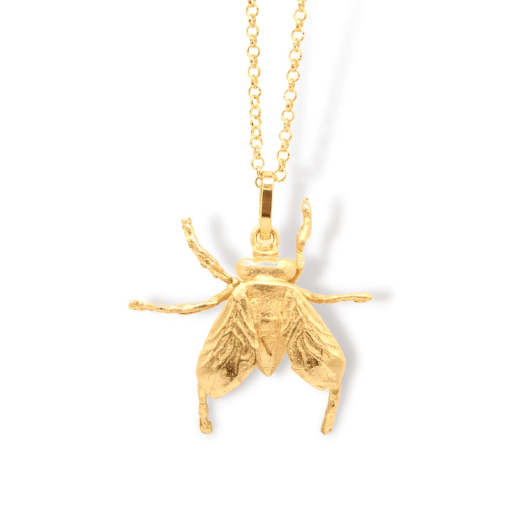 Cadena de mosca grande - imagen 1