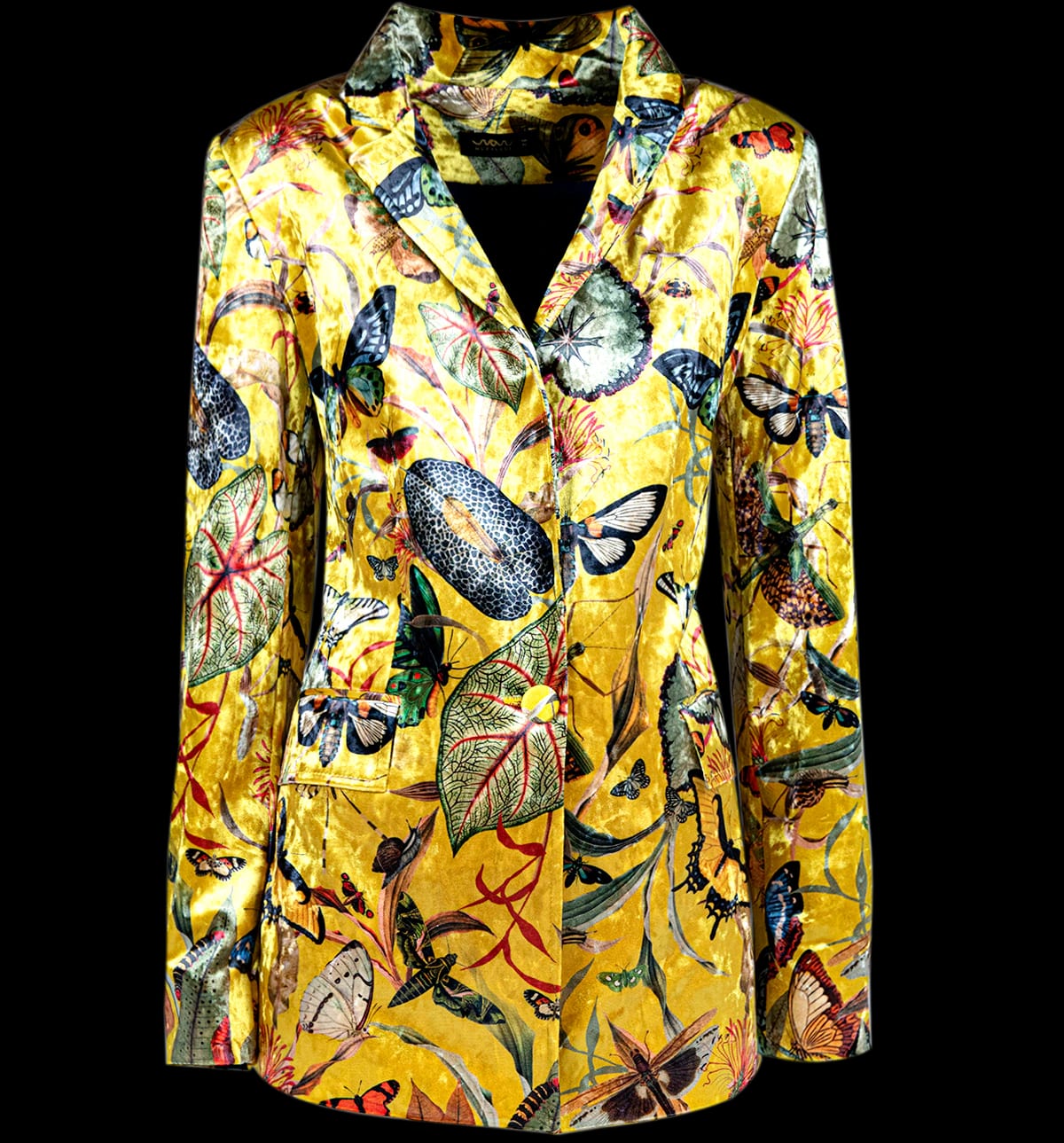 Blazer Terciopelo - Butterfly Yellow - imagen 1