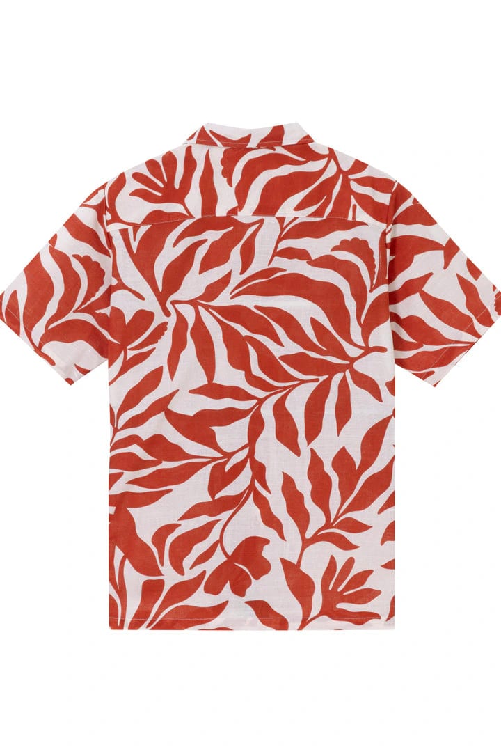 Camisa ramas terracota - imagen 3