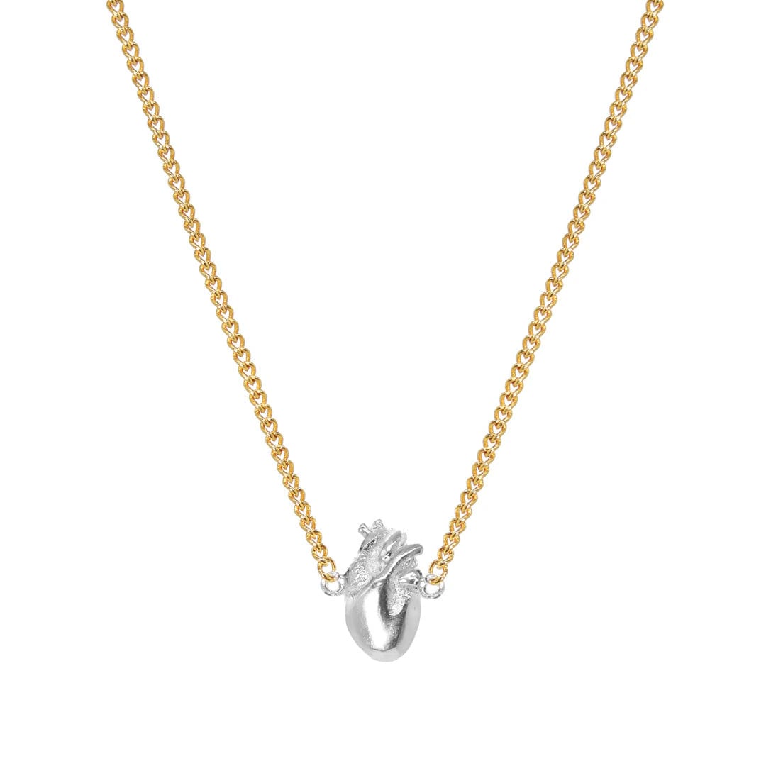 Cadena Anatomik Tiny G&S - imagen 1