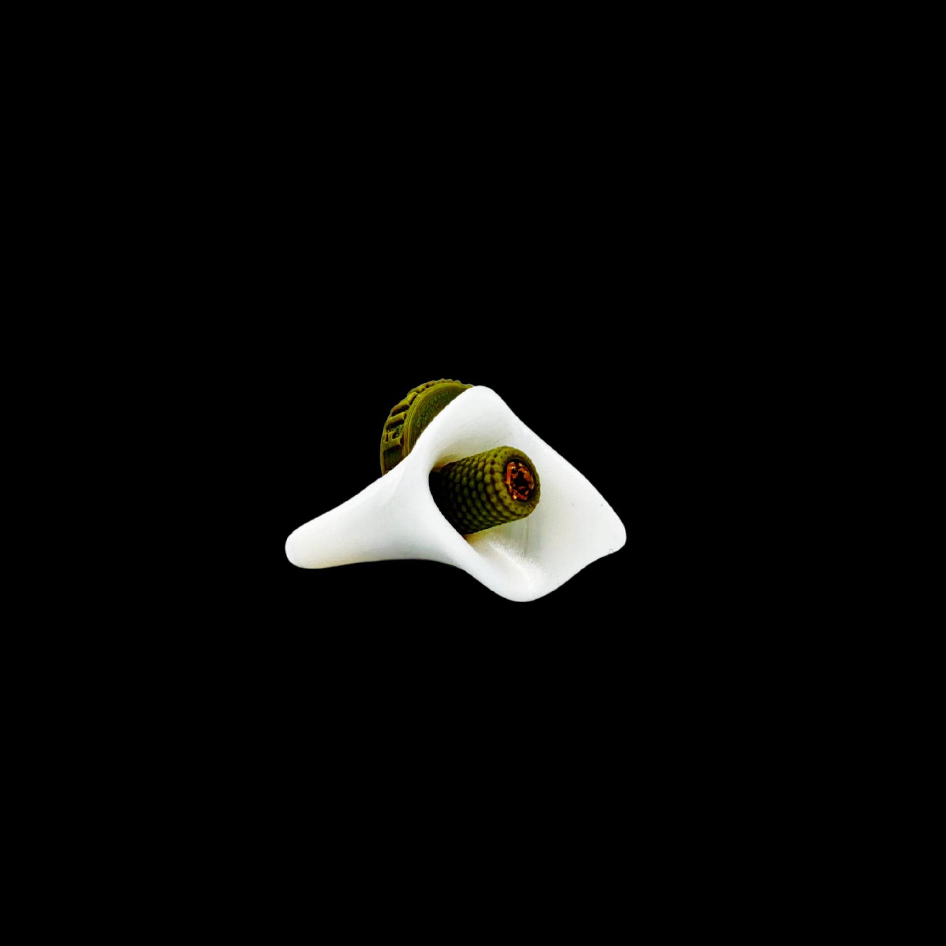 EARCUFF CALITA - imagen 3