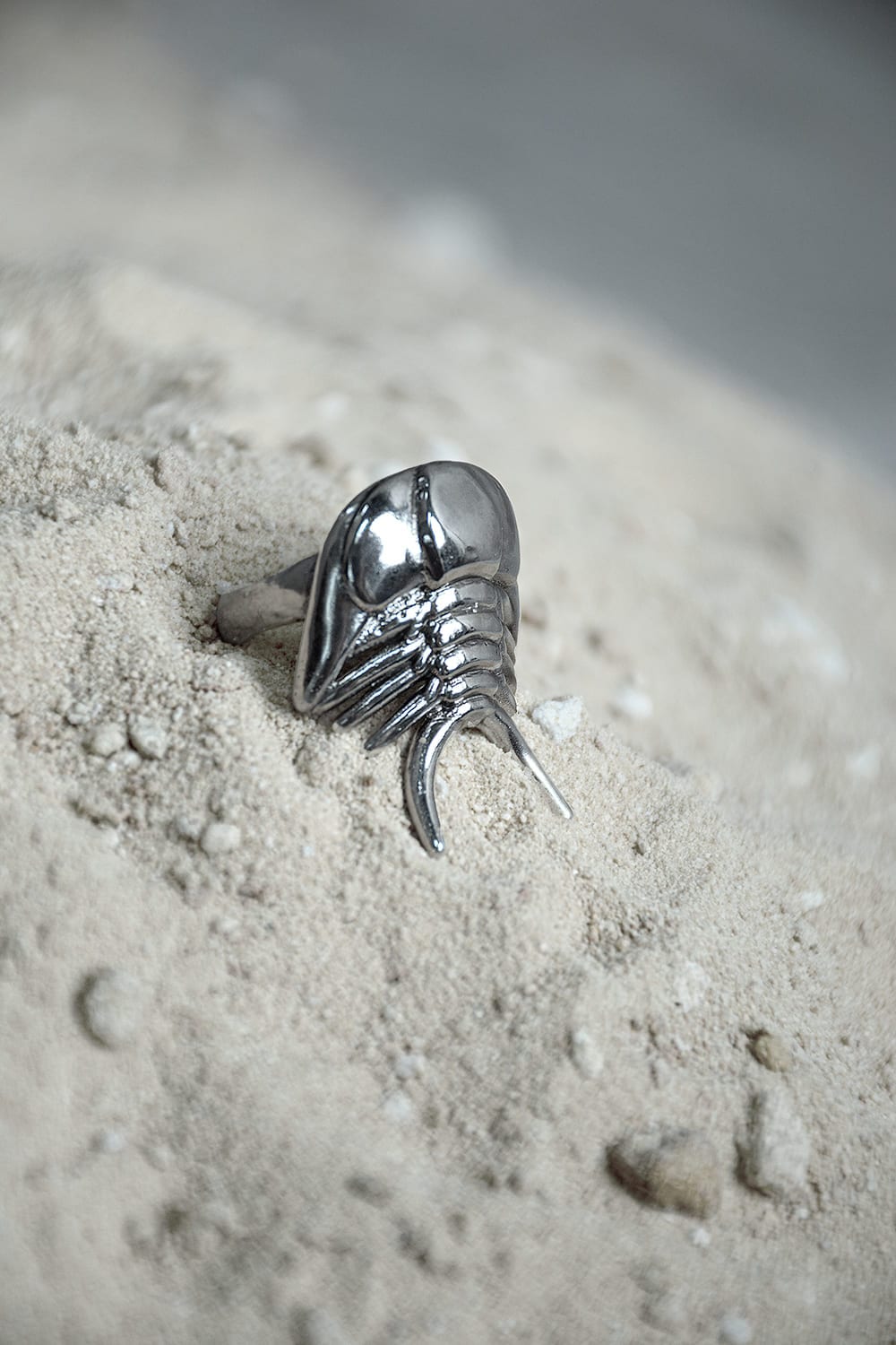 Anillo Ceraurus - imagen 3