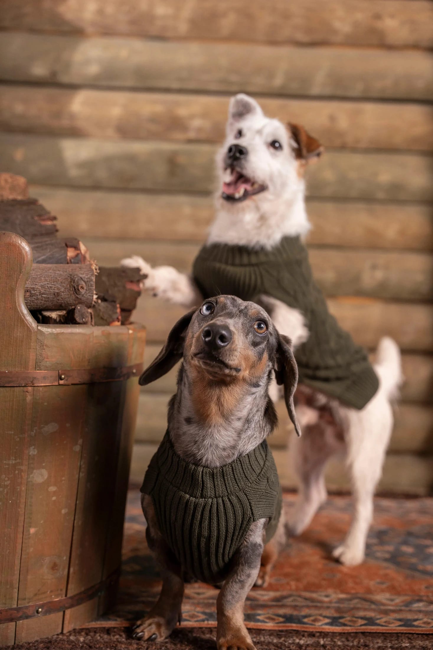 2-Pack Suéteres Perros Verde - imagen 2