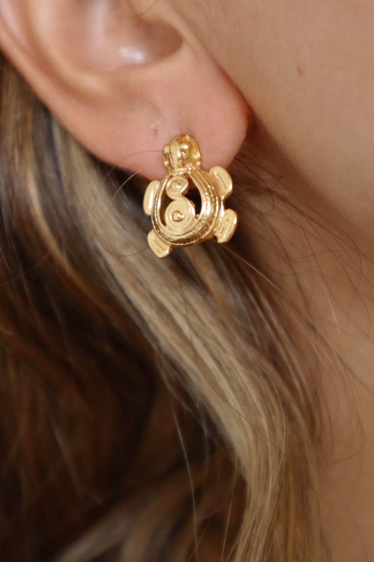 TORTUGA TOPOS - imagen 3
