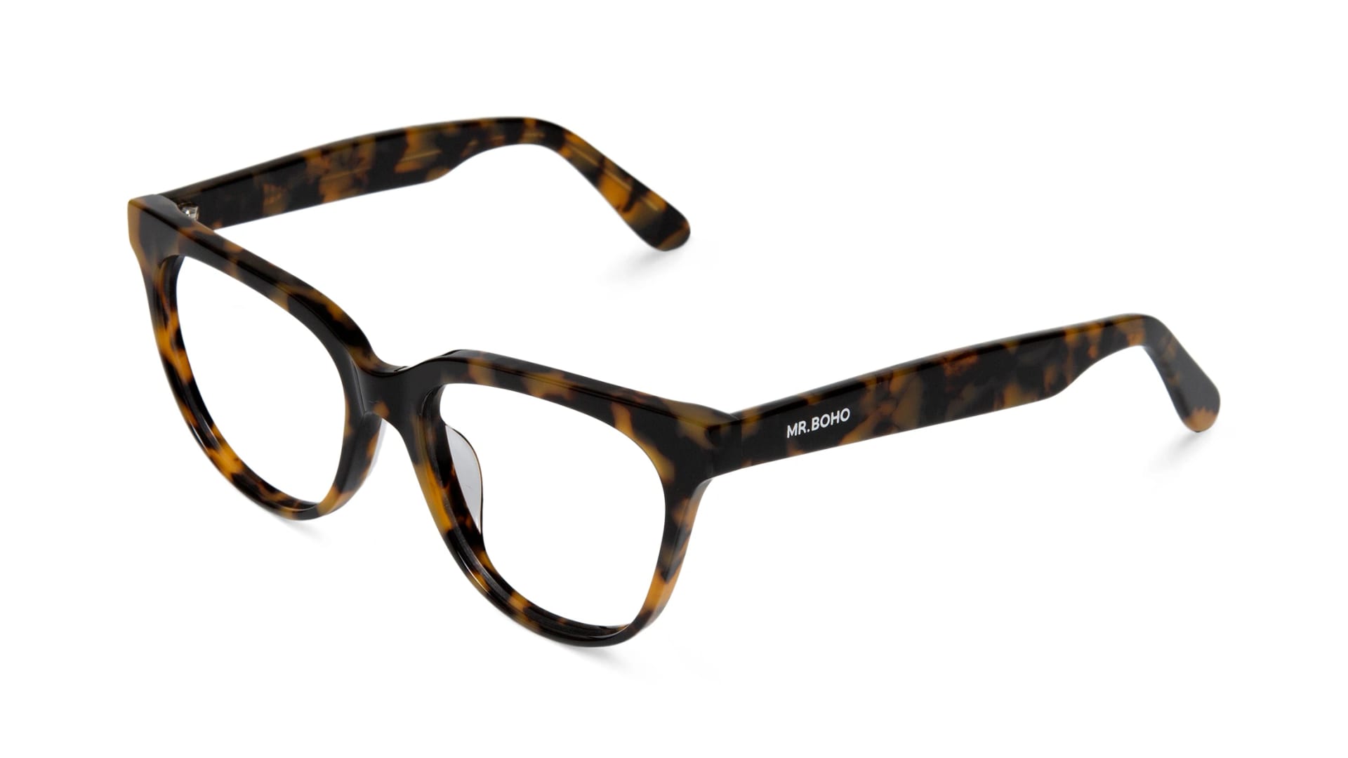 HC TORTOISE  BARRY - imagen 2
