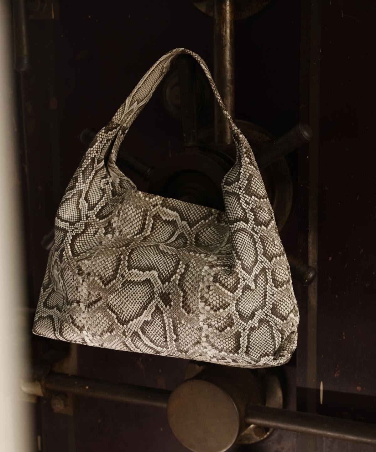 Meissa Hobo in Python - imagen 3