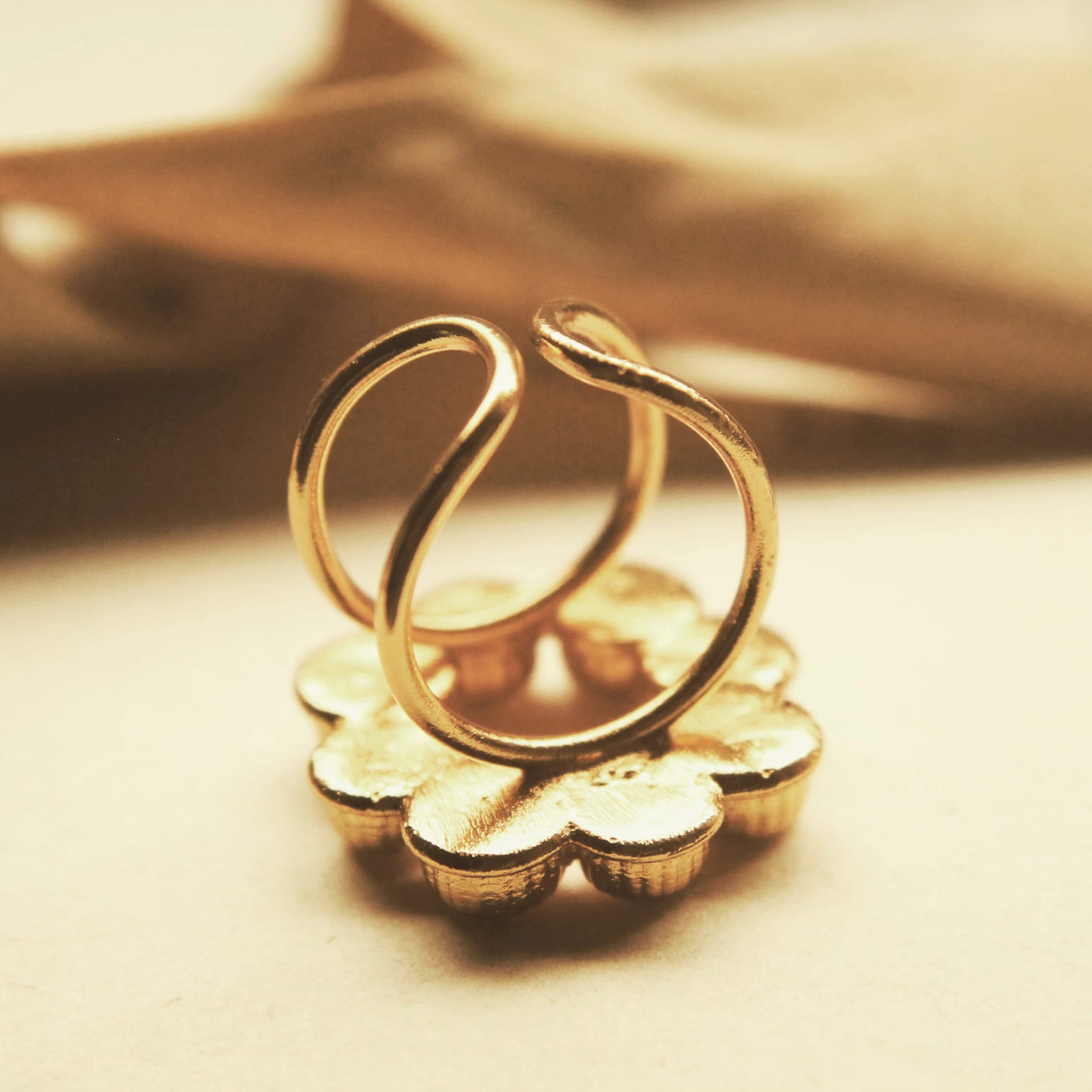 Anillo de coronas circulares grandes - imagen 3