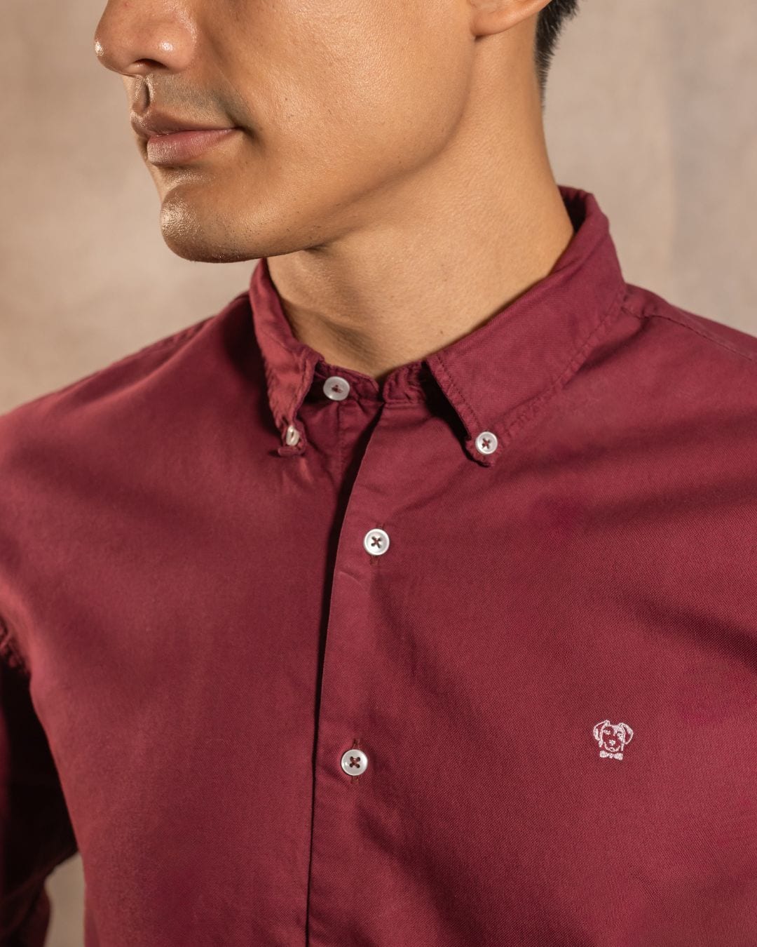 Camisa Antimanchas Oxford Vino - imagen 2