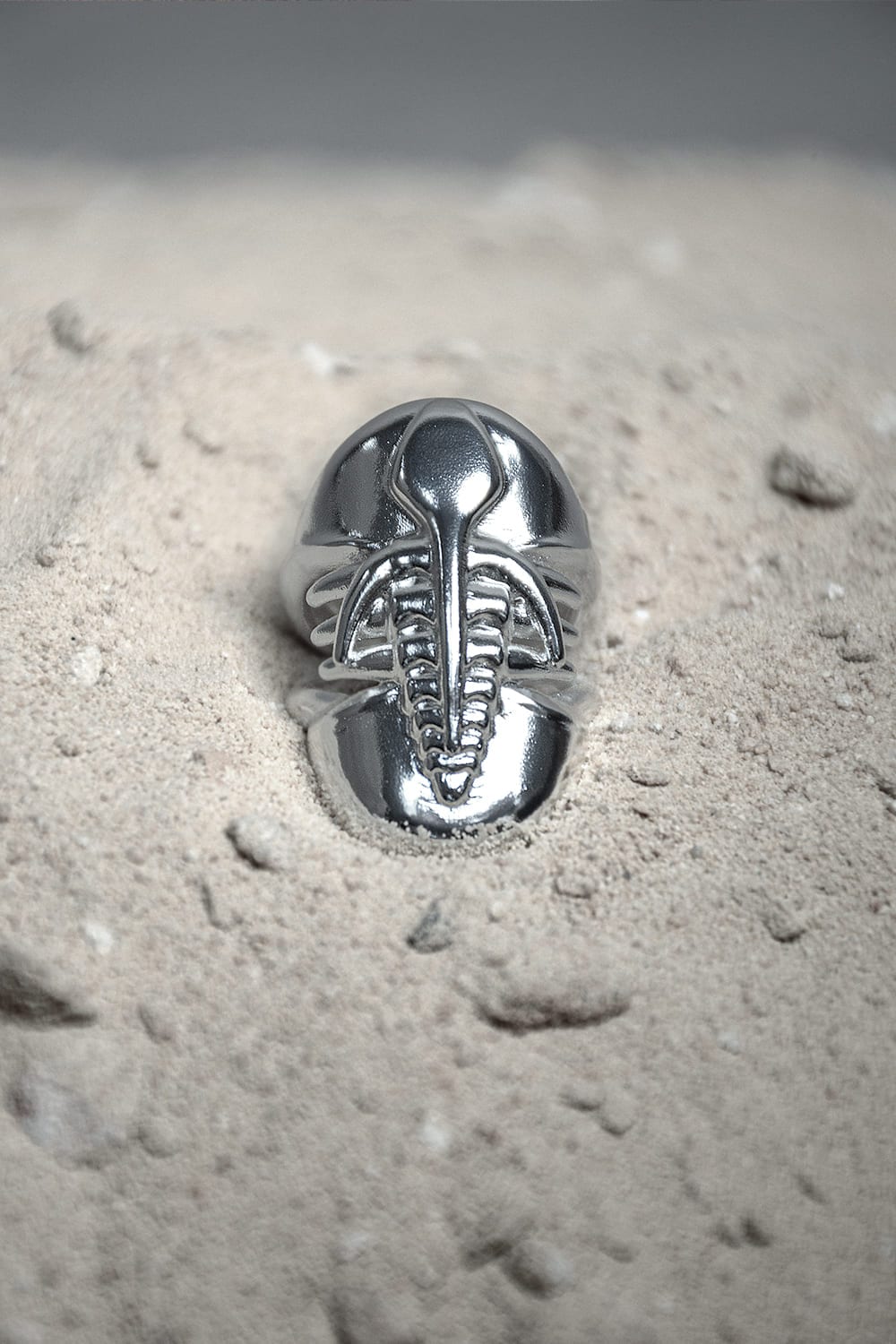 Anillo Yukonia - imagen 2