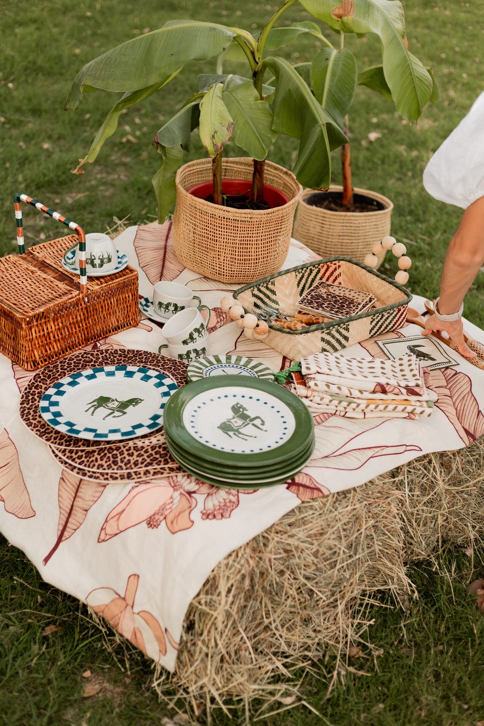 Andes Picnic Basket - imagen 6