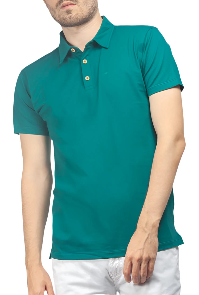 Polo Verde NA - imagen 1