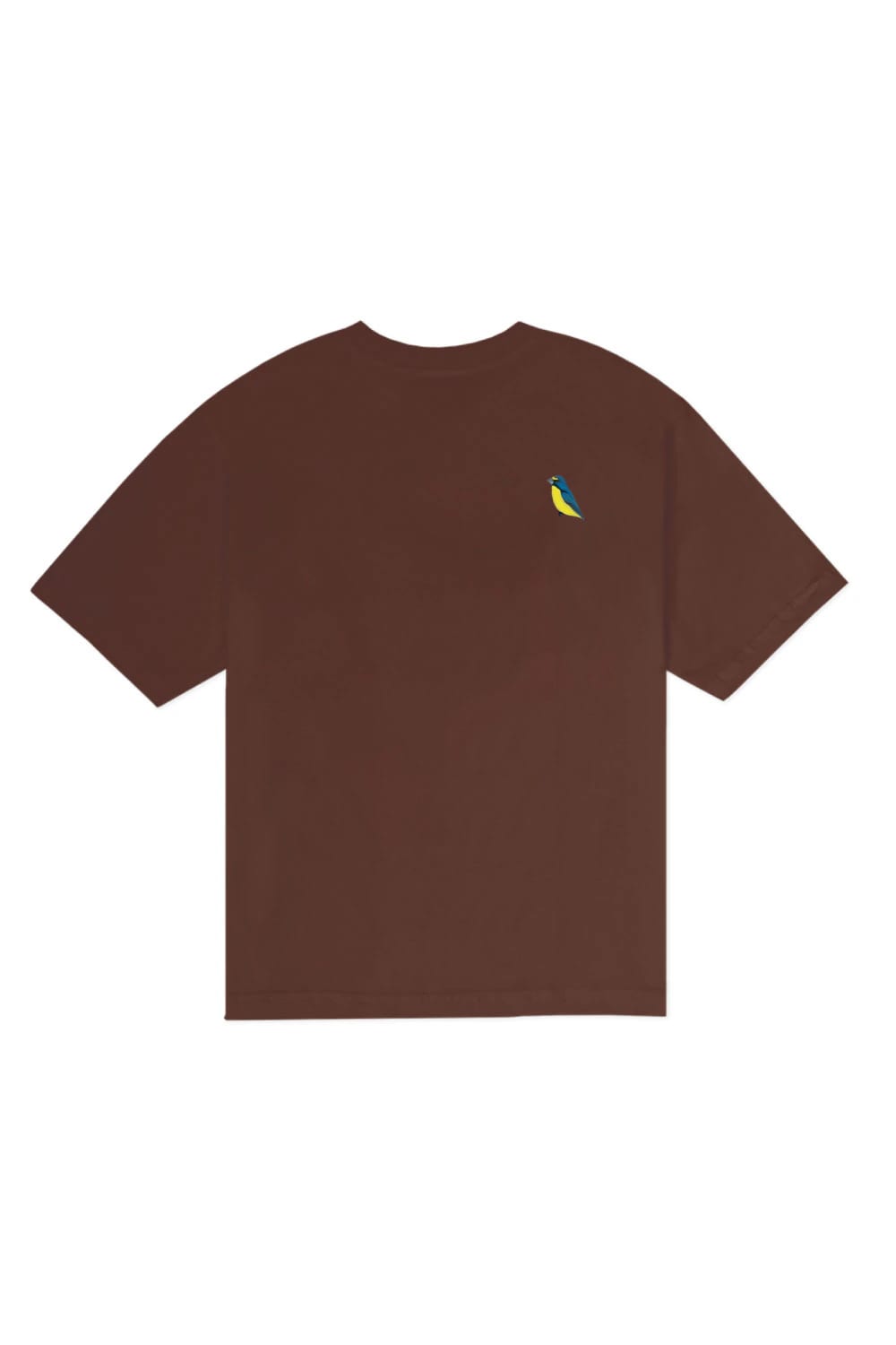 CAMISETA HILOS DE CAFÉ - imagen 7