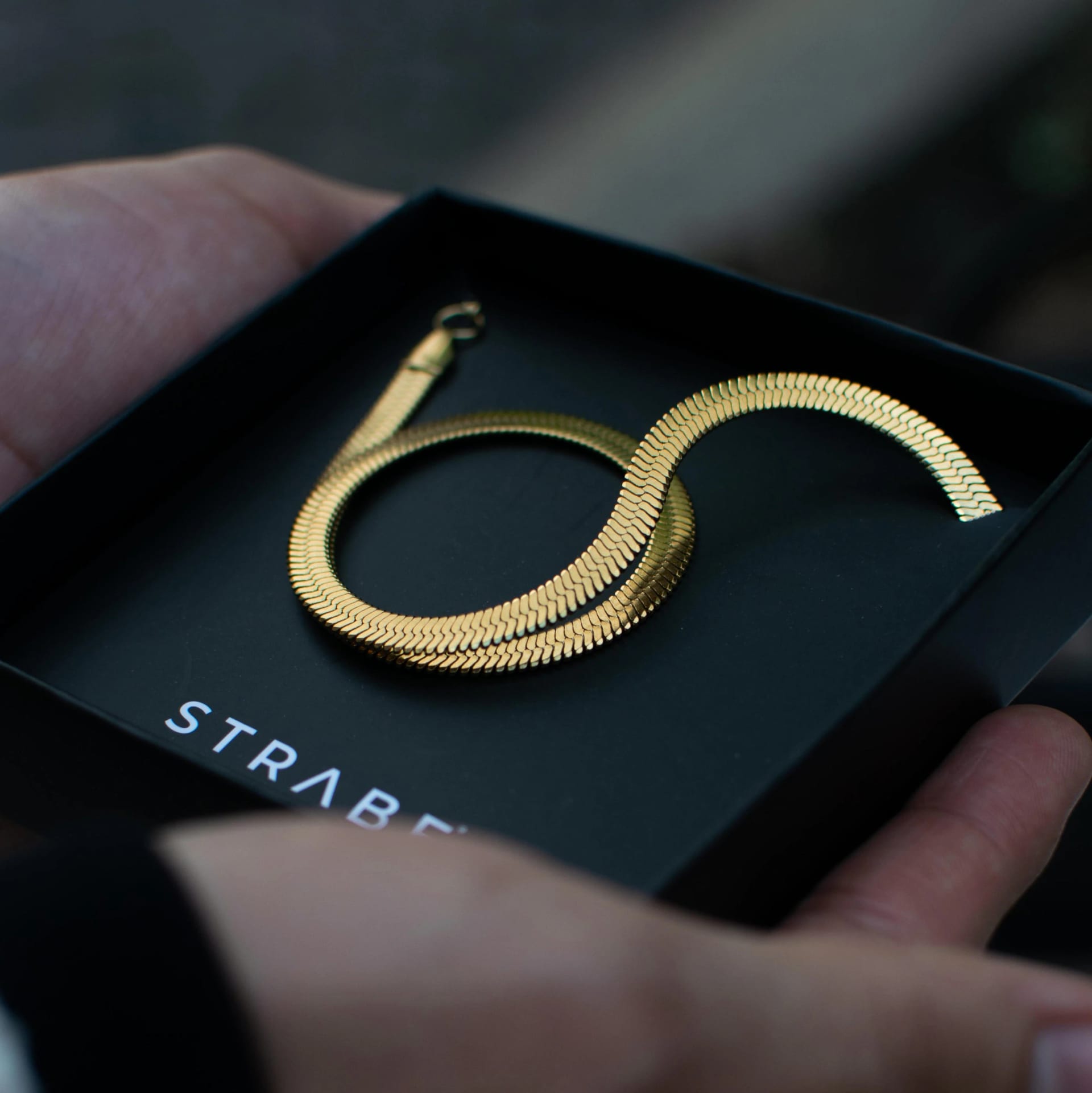 Combo Snake Gold H&M - imagen 3