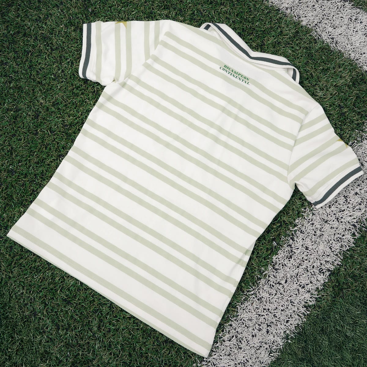 POLO RAYAS MUJER - imagen 2