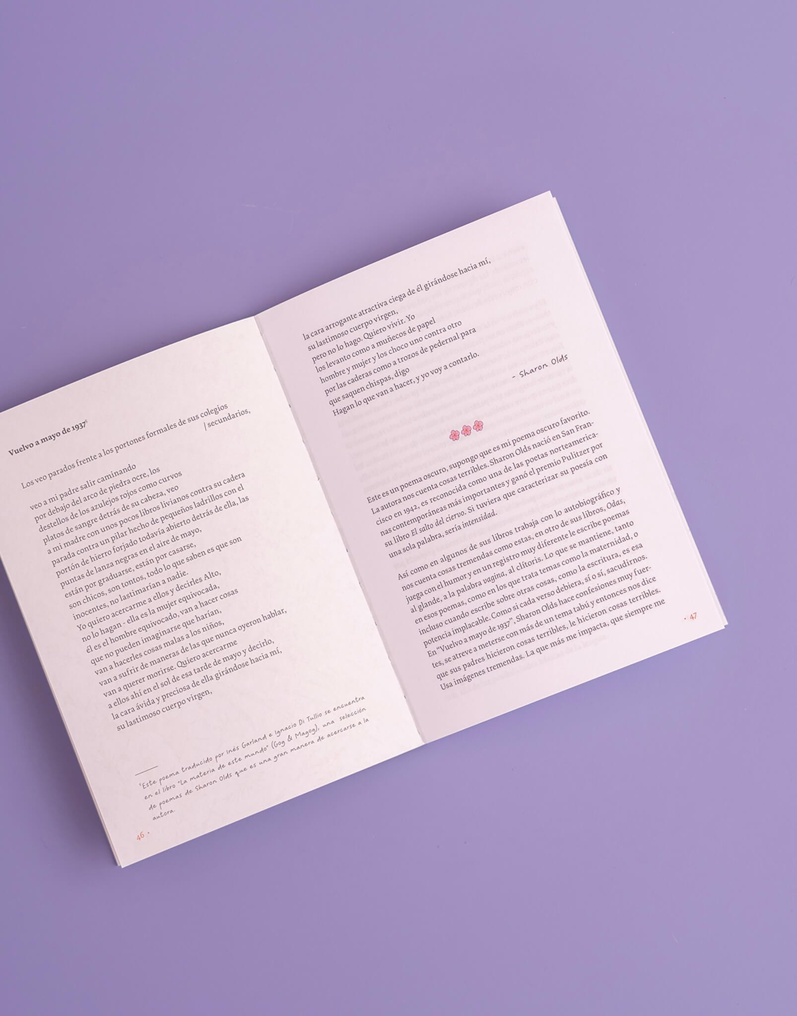 LIBRO POEMAS COMO MAPAS - imagen 5