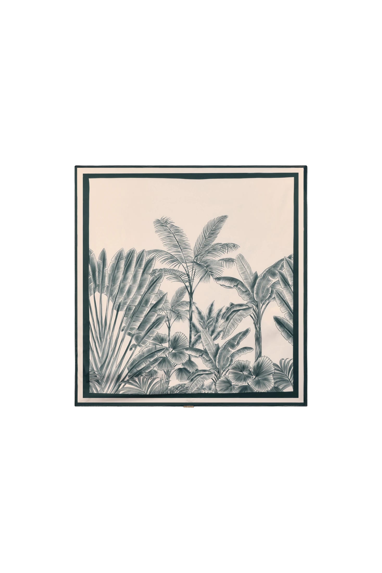 Serenoa - imagen 1