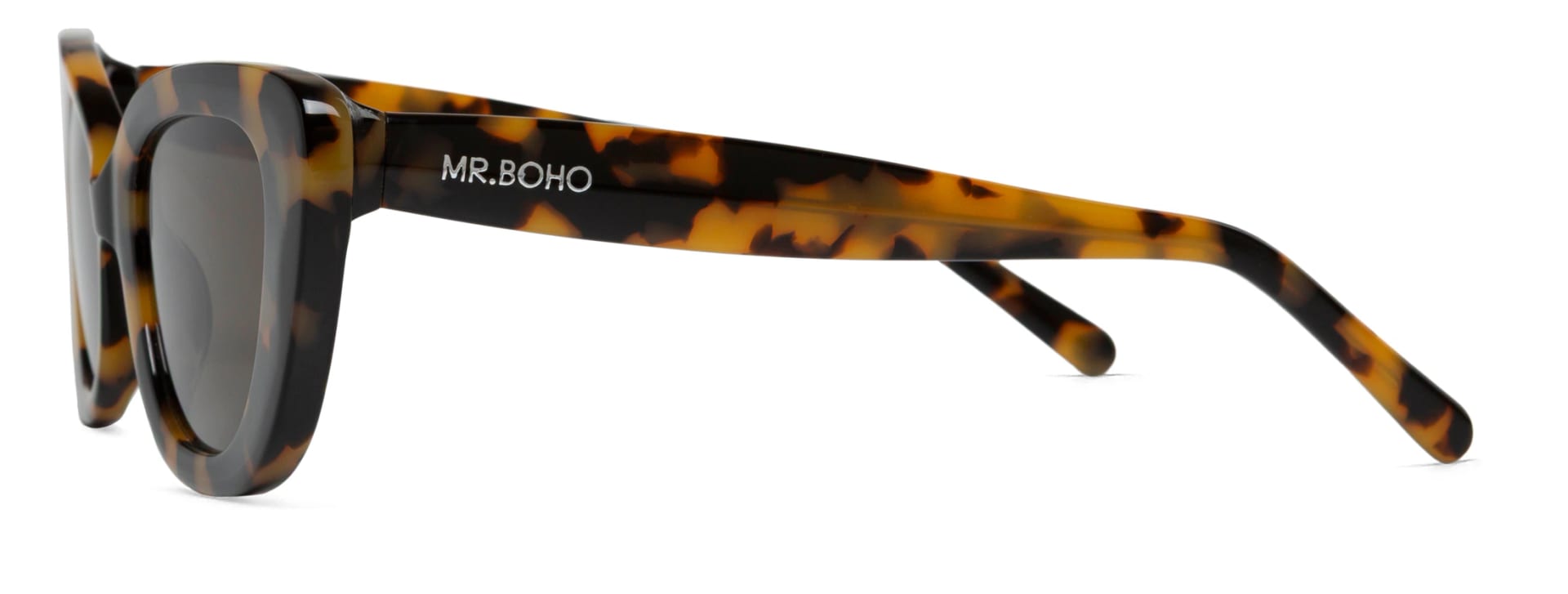 HC TORTOISE CAPARICA  WITH CLASSICAL LENSES - imagen 3