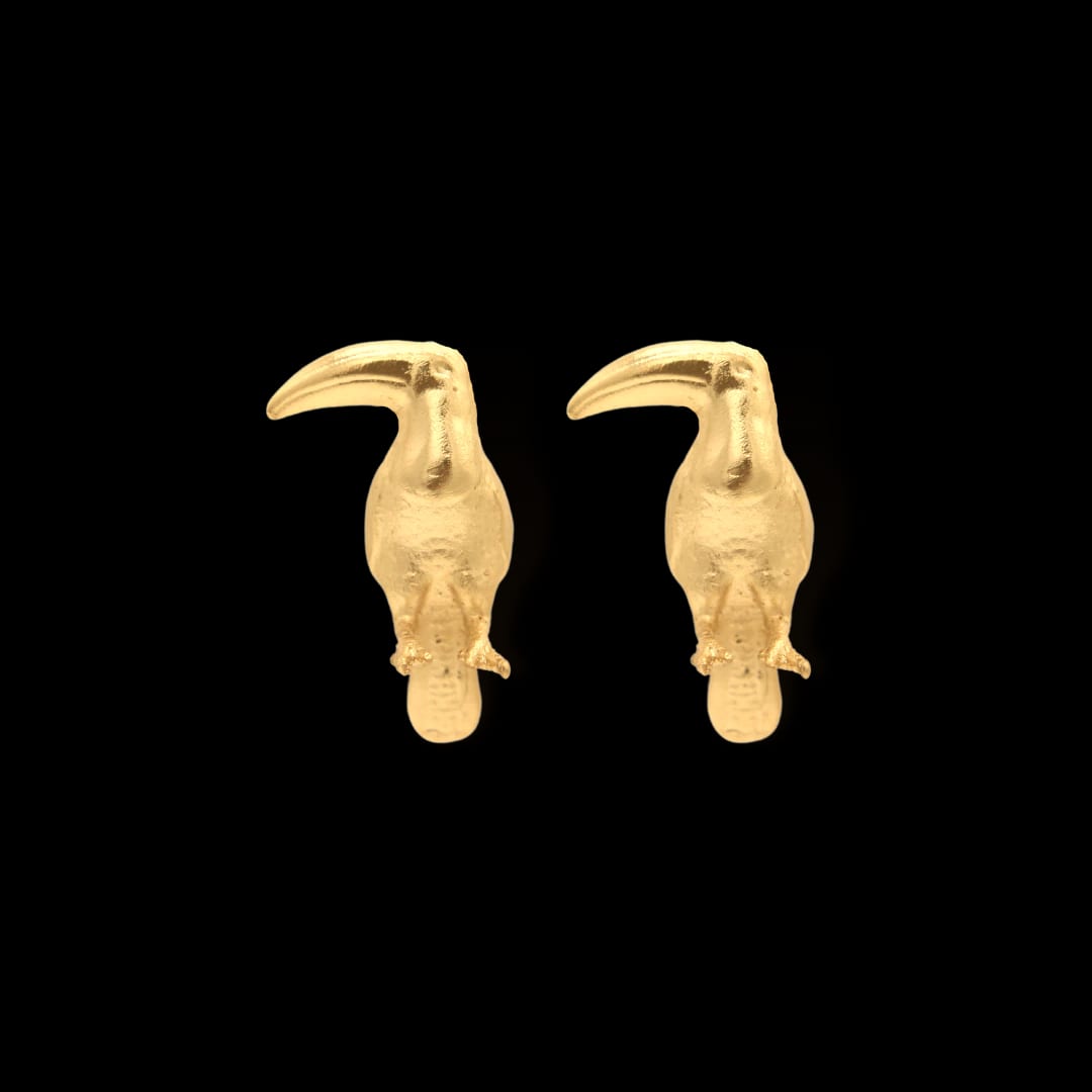Aretes de tucán - imagen 1