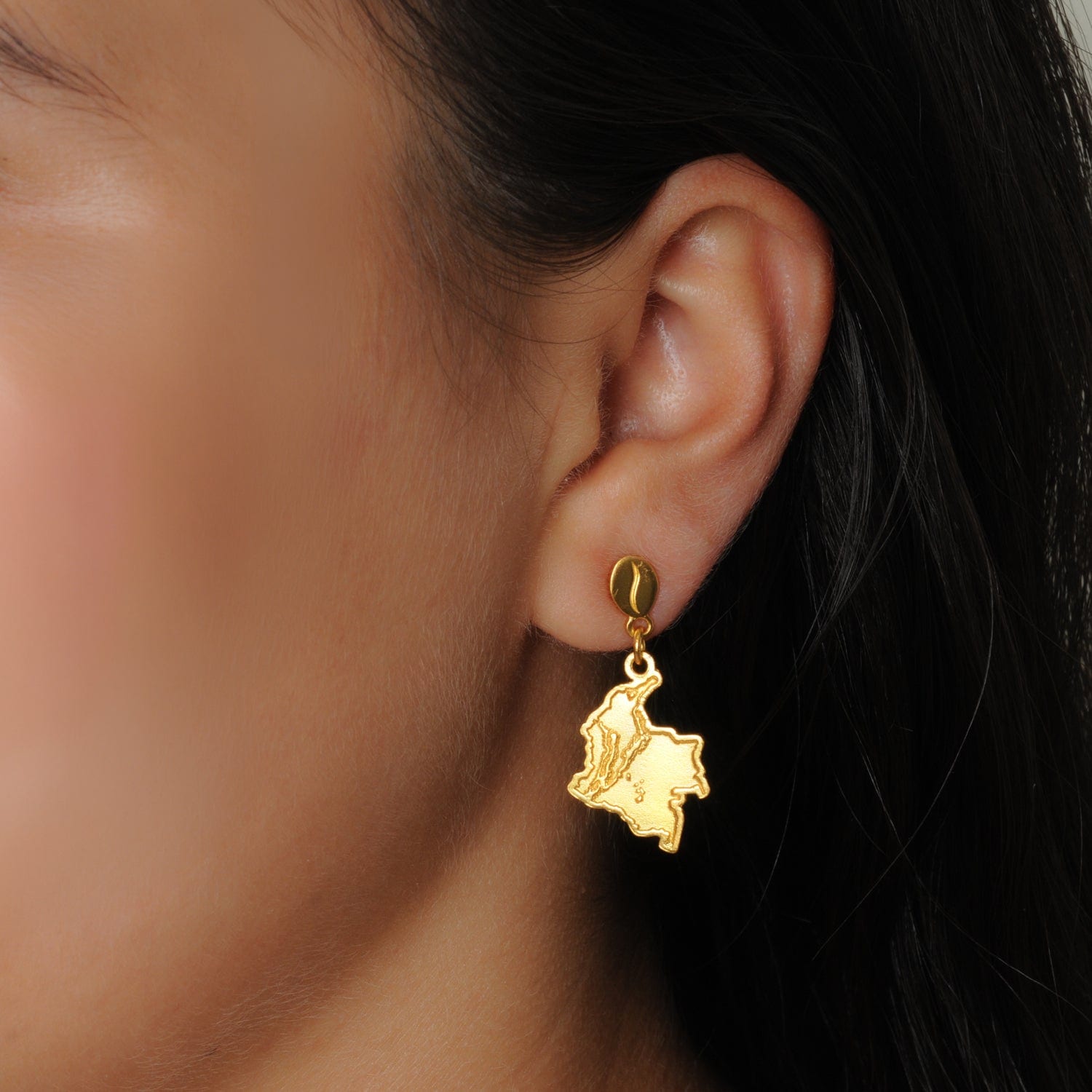 Arete mapa de Colombia con relieve - imagen 2