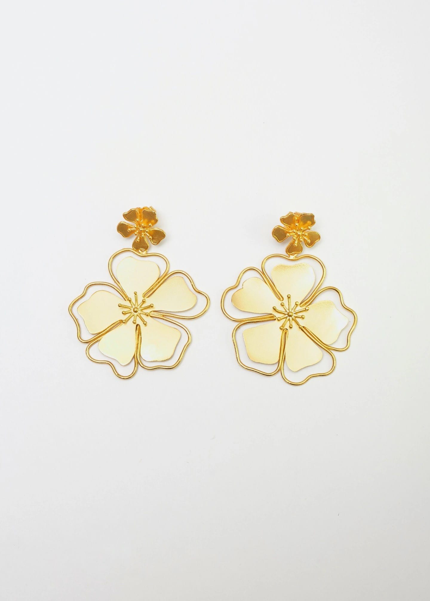 Aretes Andreae - imagen 5