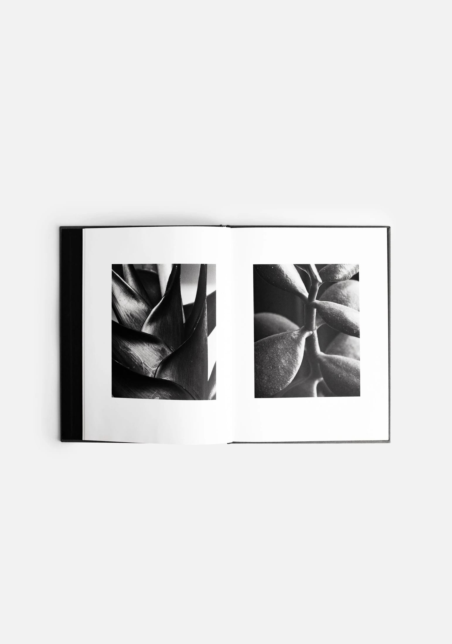 Libro Matas ED. A&A - imagen 3
