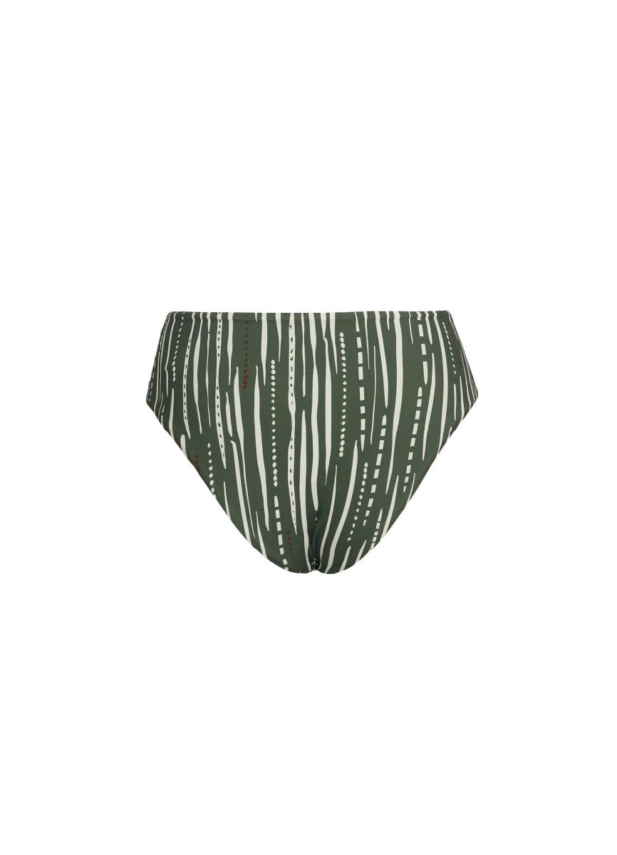 CACTI LINES IZZIE BOTTOM 94034 - imagen 2