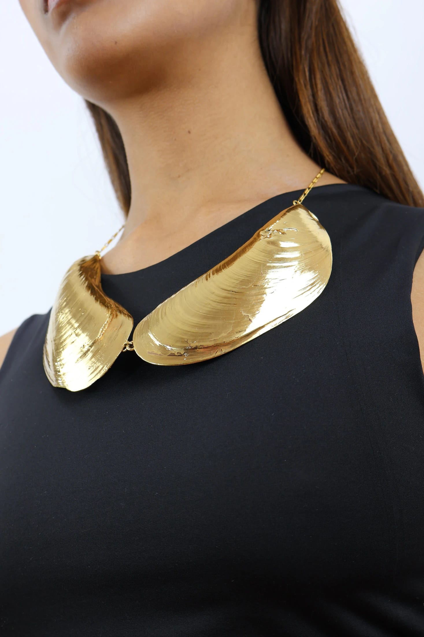 BIB - imagen 3
