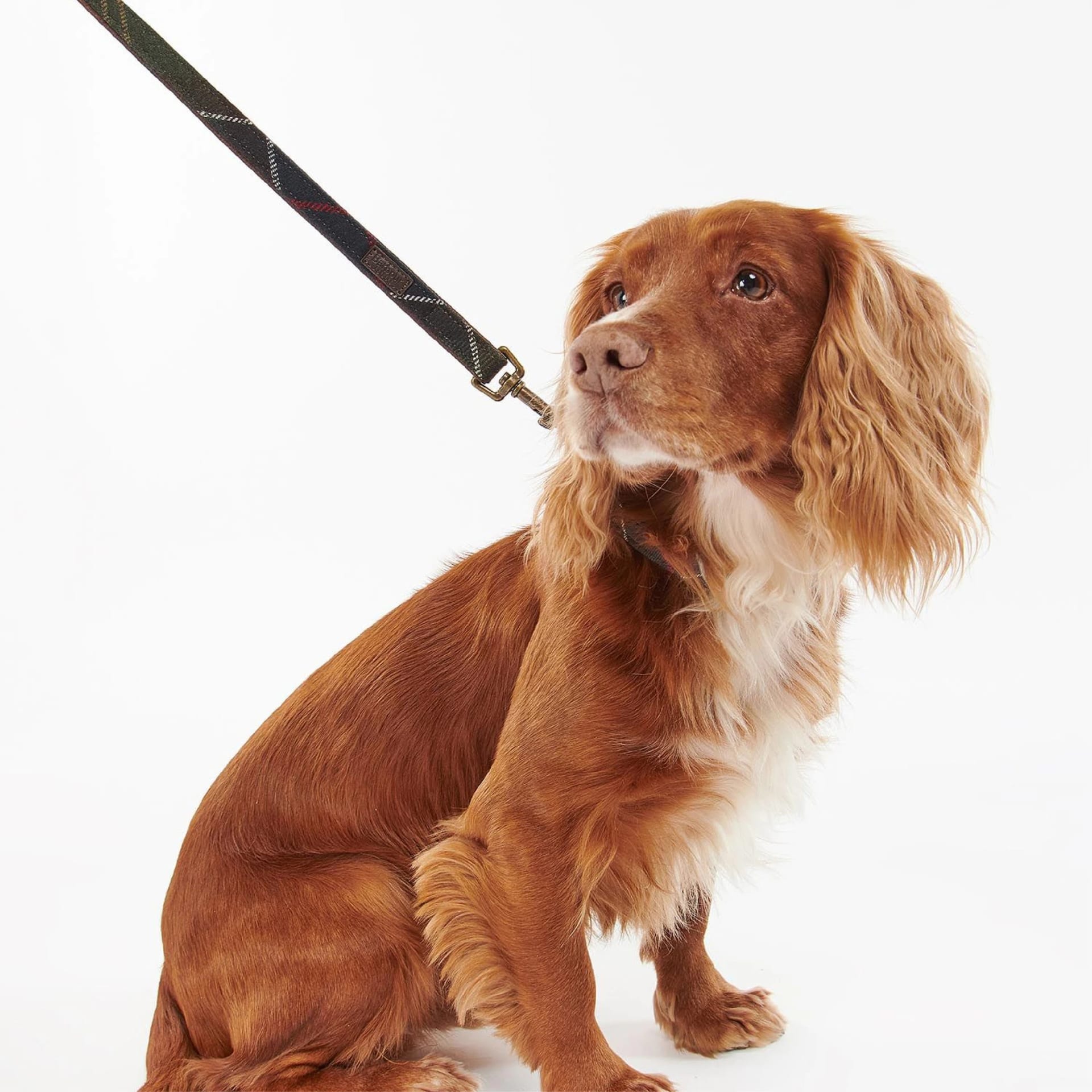 Tartan Dog Lead - imagen 3