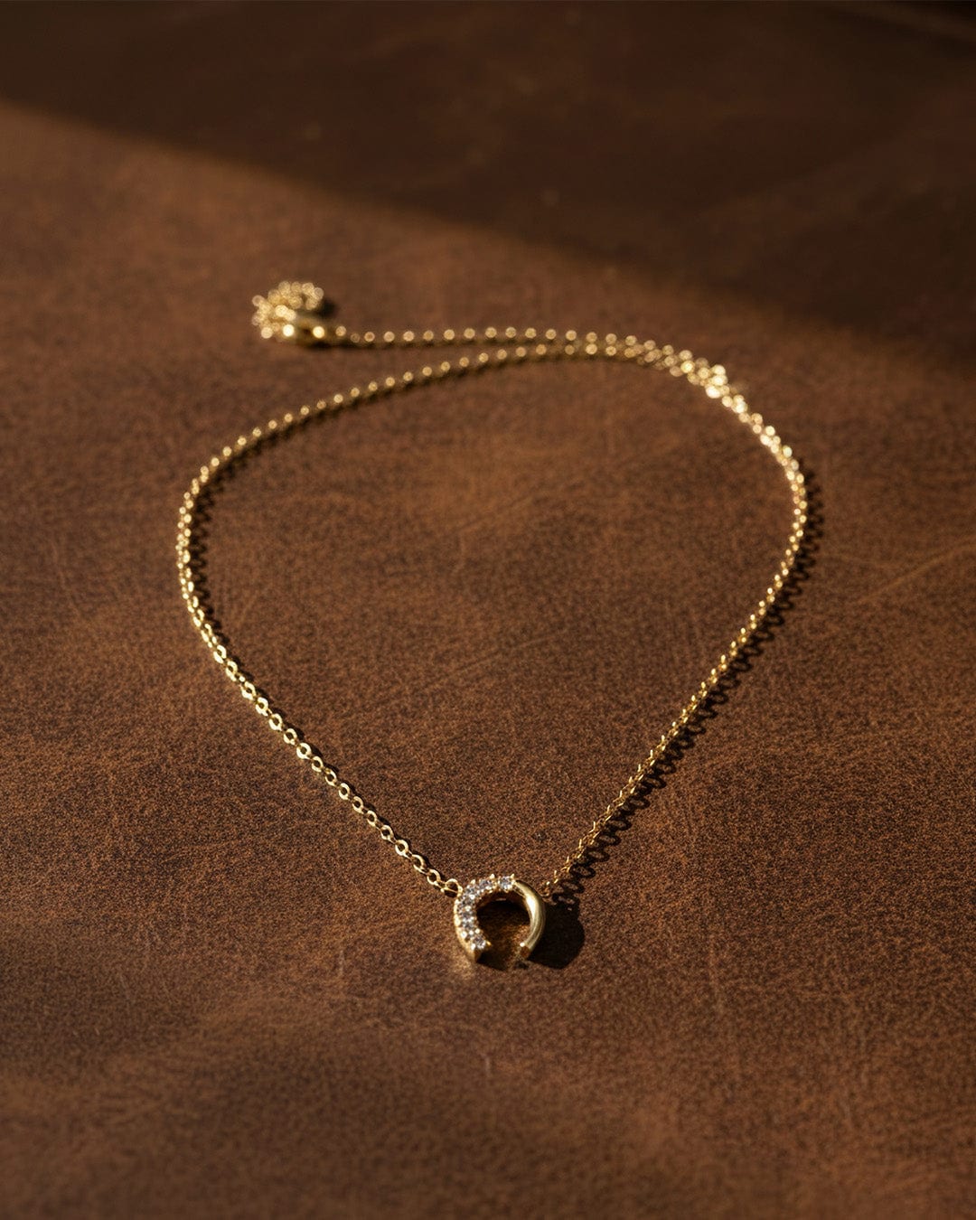 Collar Herradura Cristales - imagen 3
