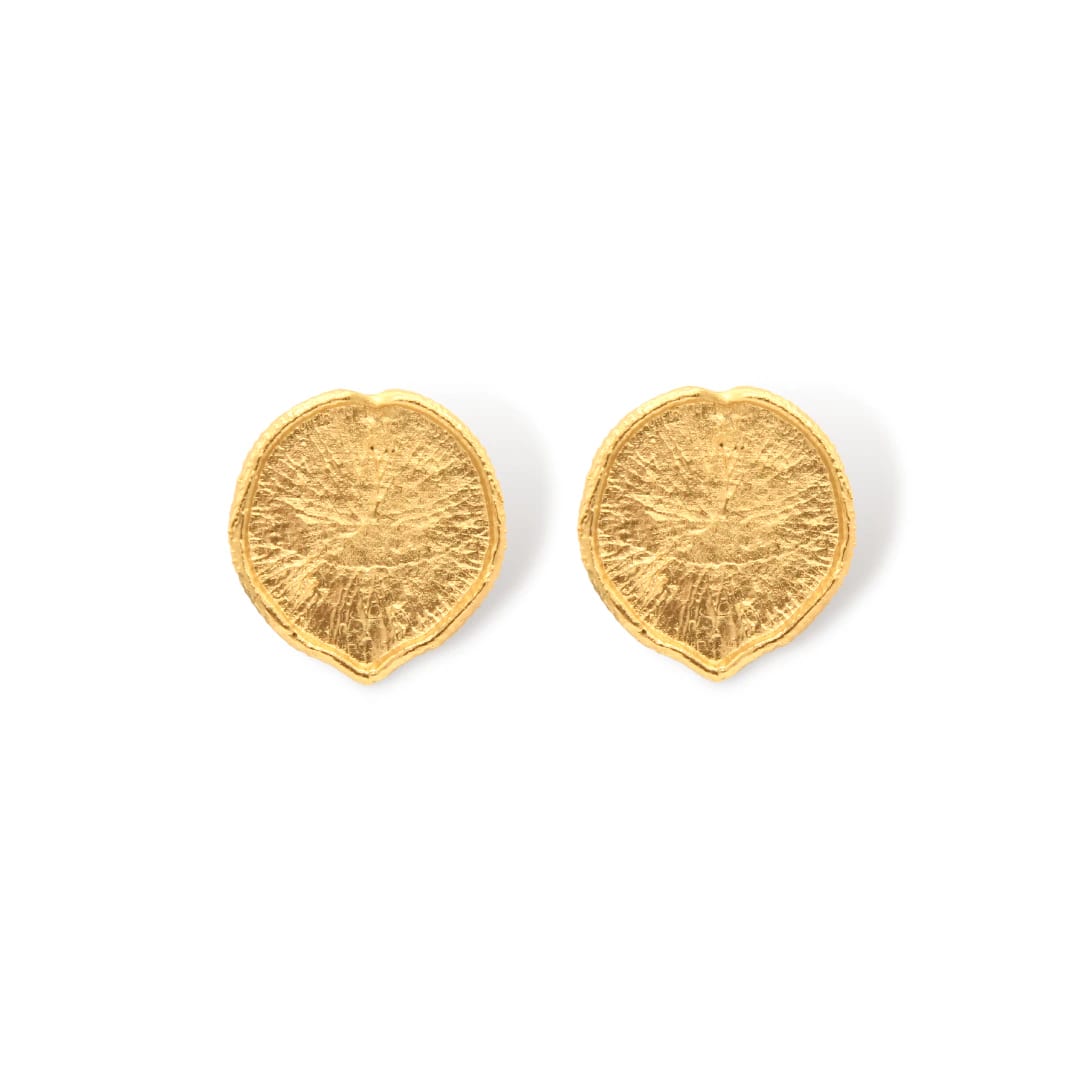 Aretes hoja de victoria regia - imagen 2